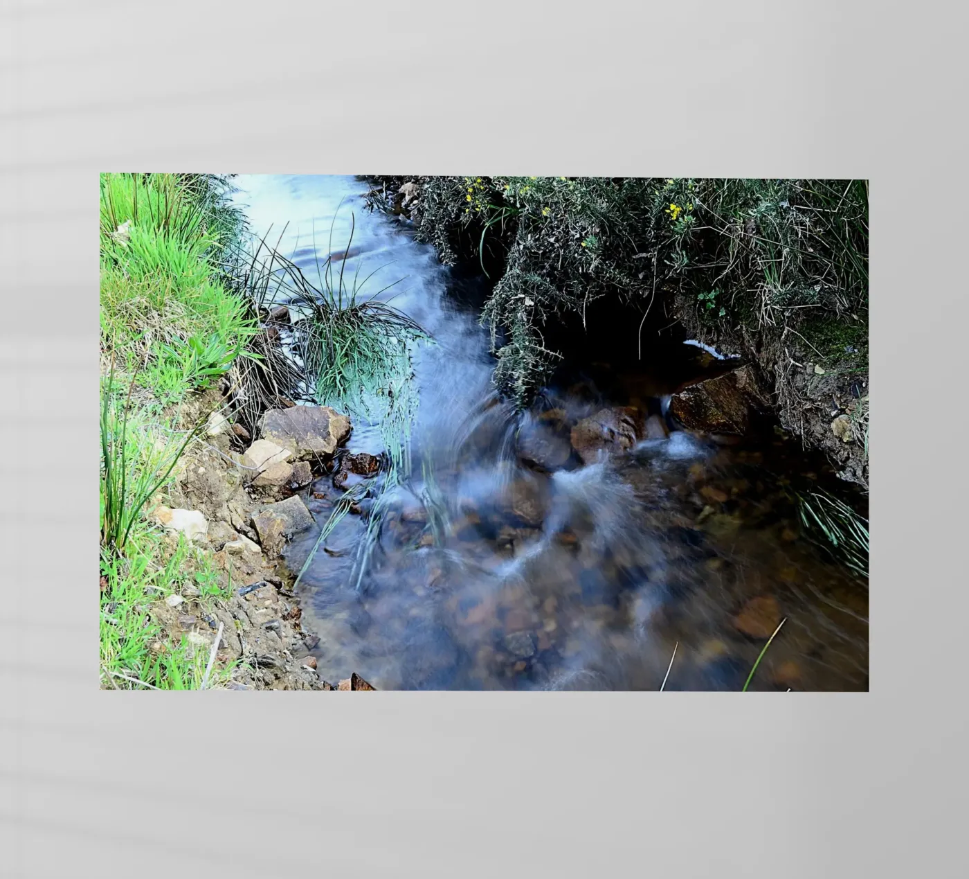 FAA364 pellicola backlit da Thierry vobmann photography