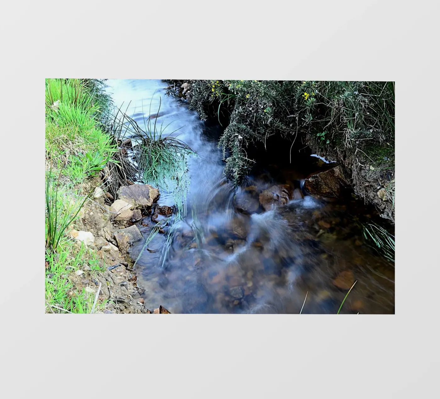 FAA364 pellicola backlit da Thierry vobmann photography