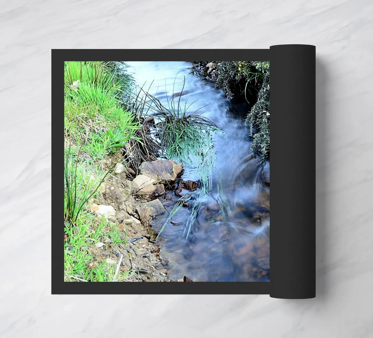 FAA364 zerbino da Thierry vobmann photography