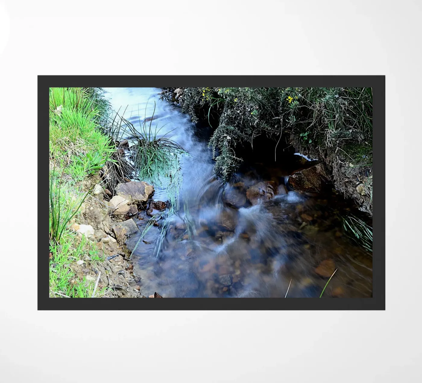 FAA364 paillasson de Thierry vobmann photography