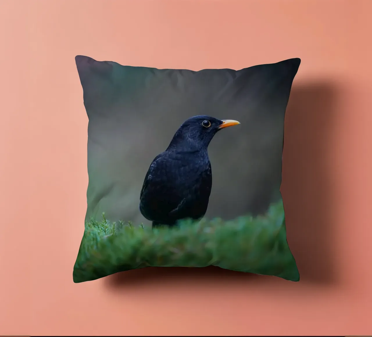 Merlo cuscino da Tom's Wildlife