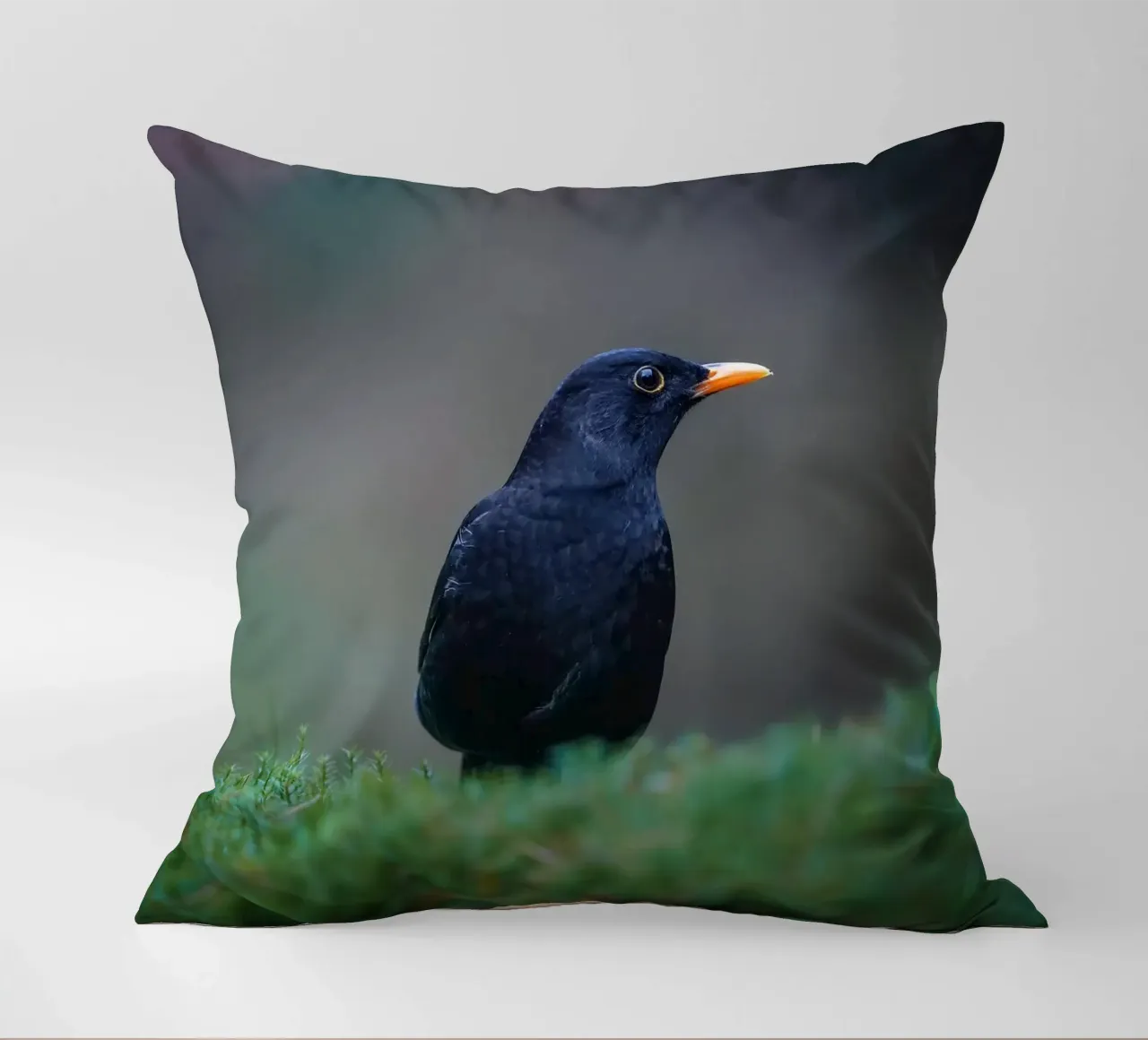 Merlo cuscino da Tom's Wildlife