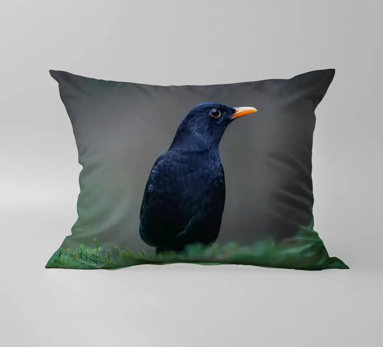 Merlo cuscino da Tom's Wildlife