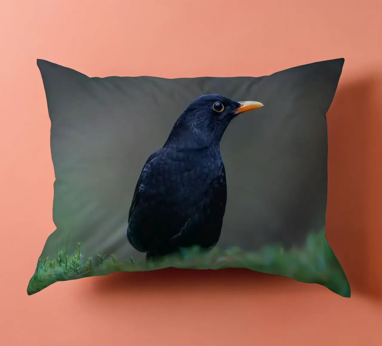 Merlo cuscino da Tom's Wildlife
