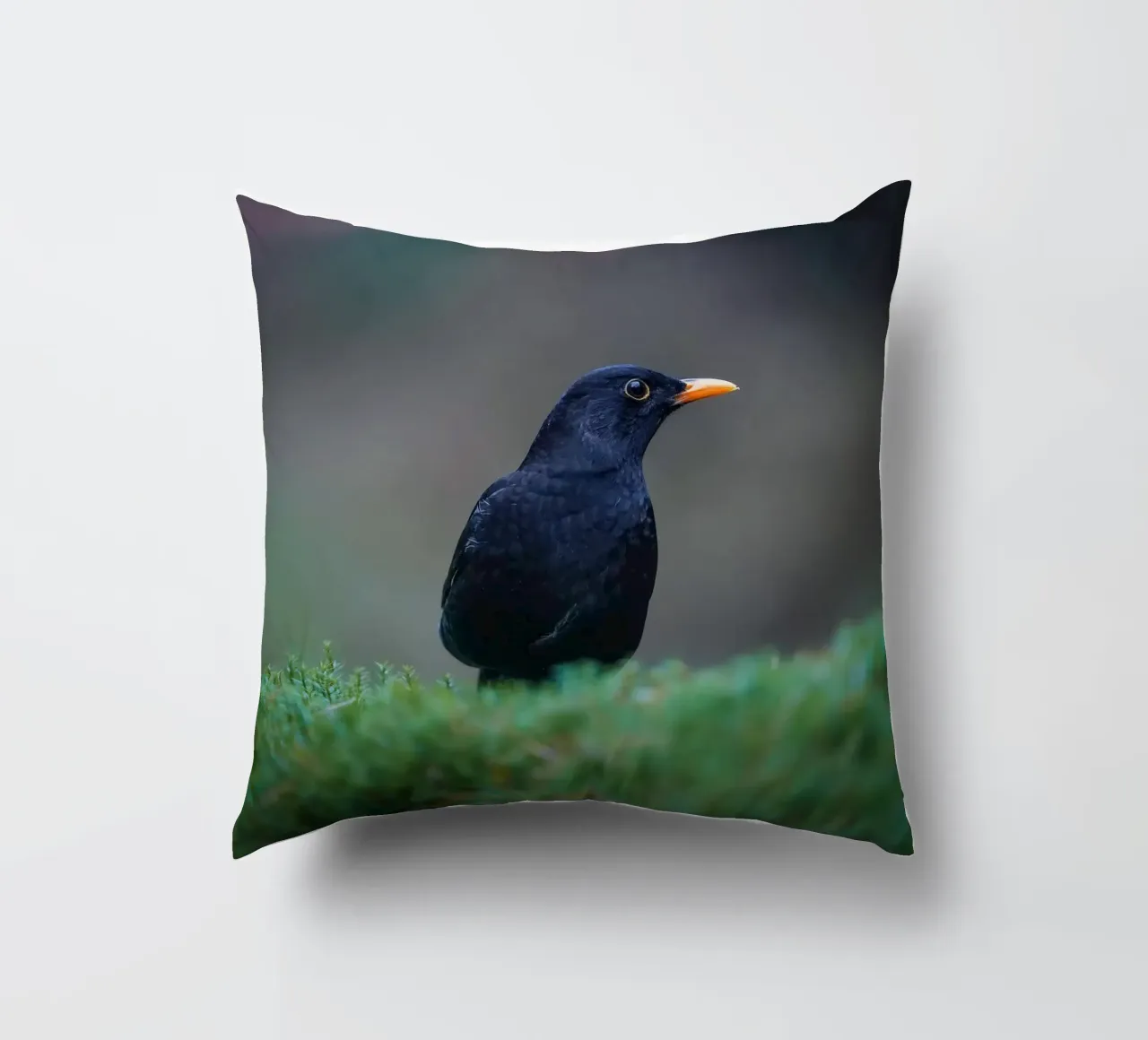 Merlo cuscino da Tom's Wildlife