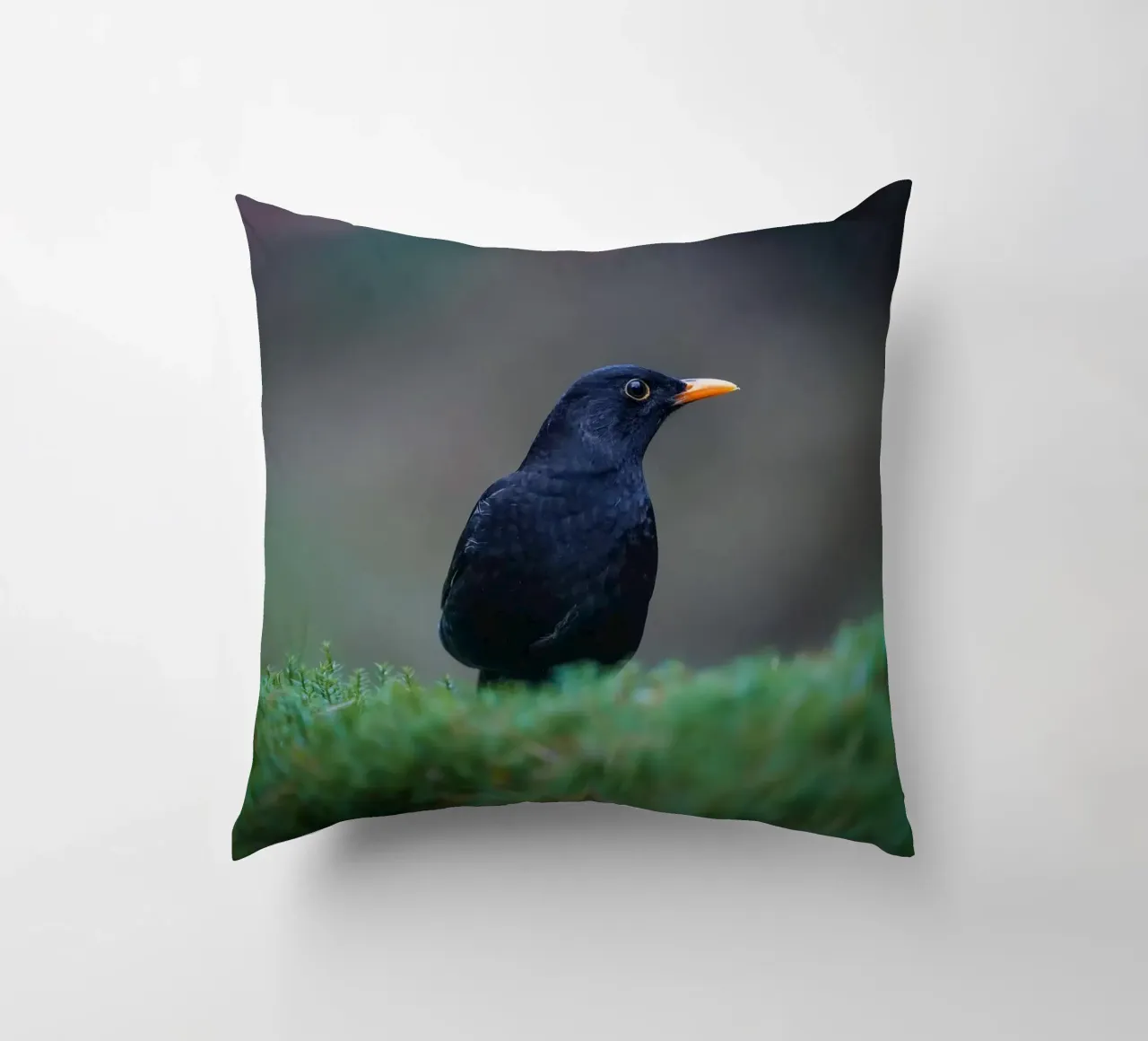 Merlo cuscino da Tom's Wildlife