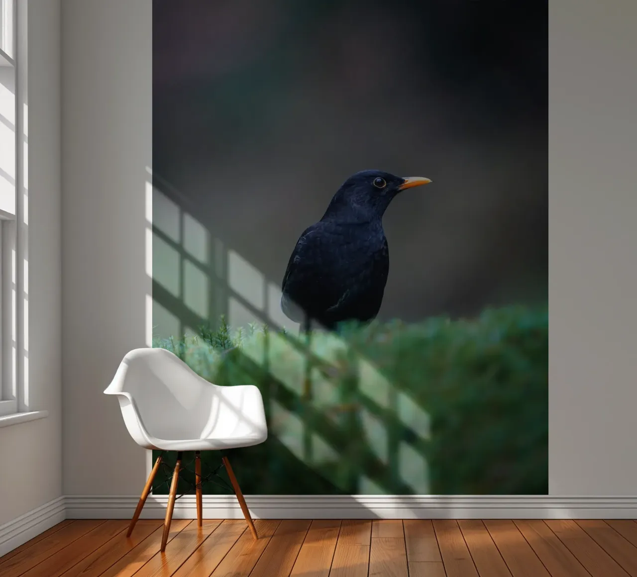 Blackbird fotobehang van Tom's Wildlife