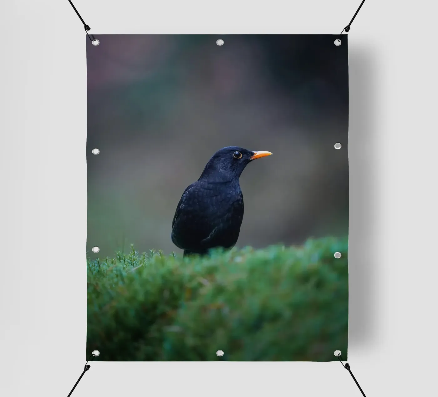 Merel pvc-zeil van Tom's Wildlife