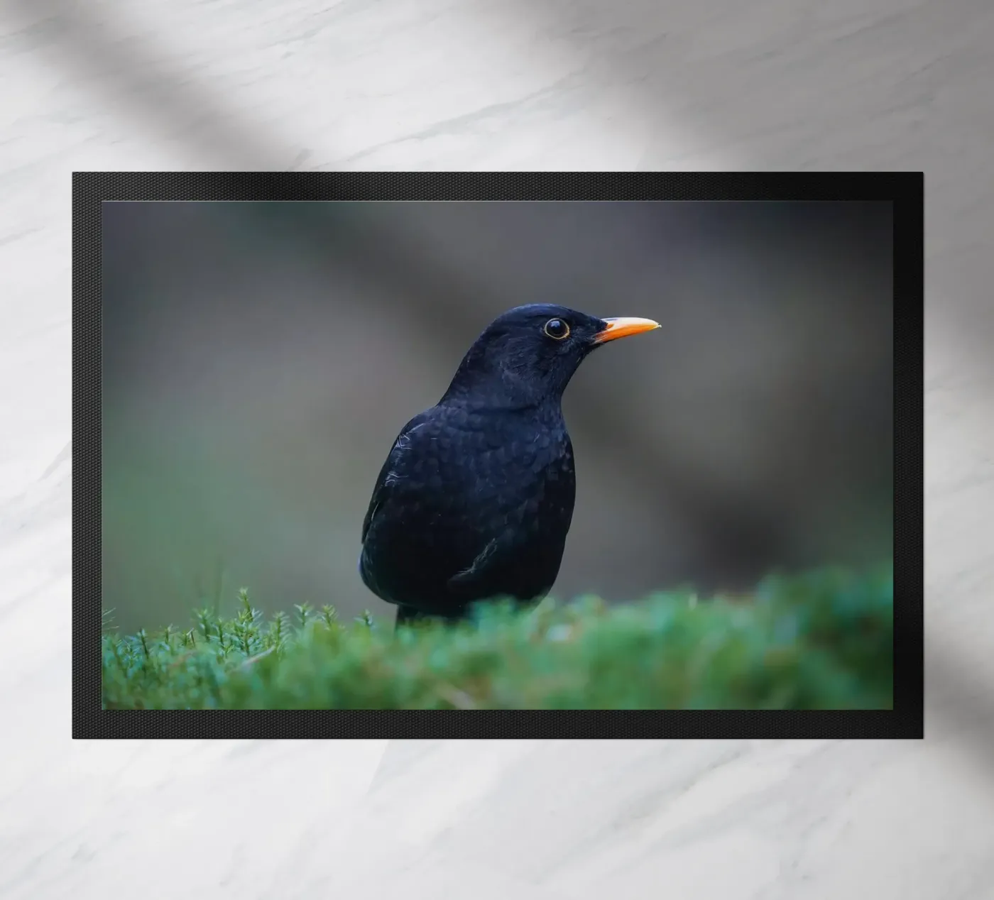 Blackbird doormat by Tom's Wildlife