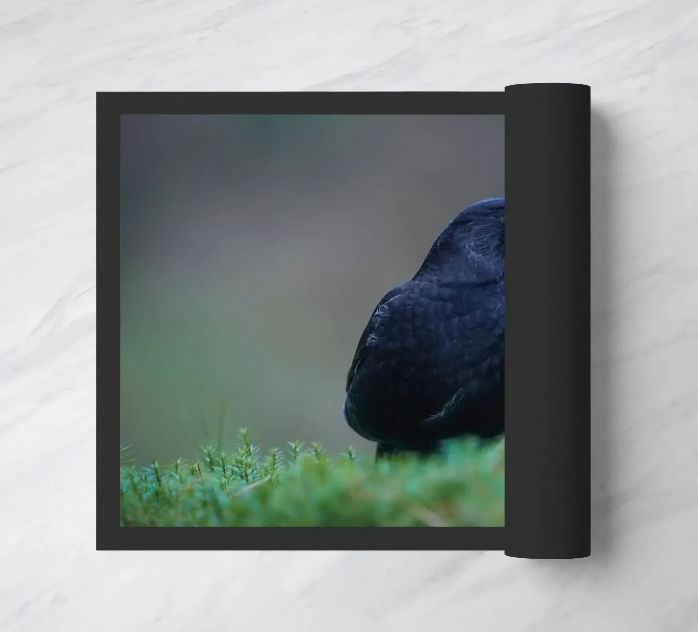 Blackbird doormat by Tom's Wildlife