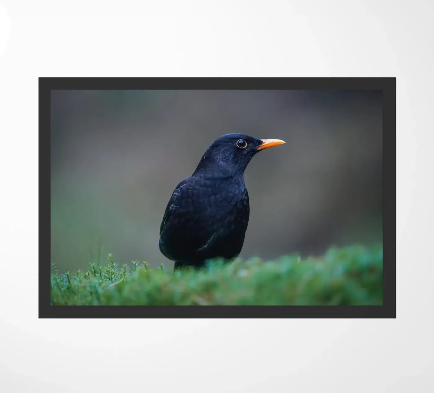 Blackbird doormat by Tom's Wildlife