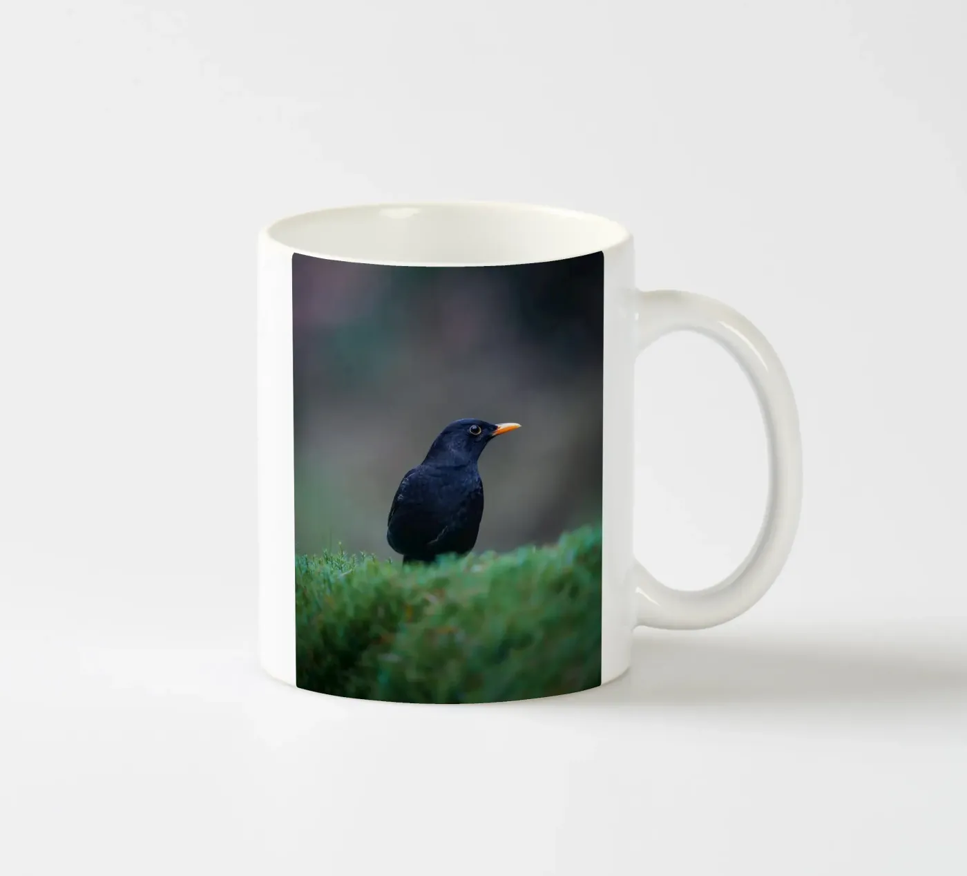Blackbird ceramic mug by Tom's Wildlife