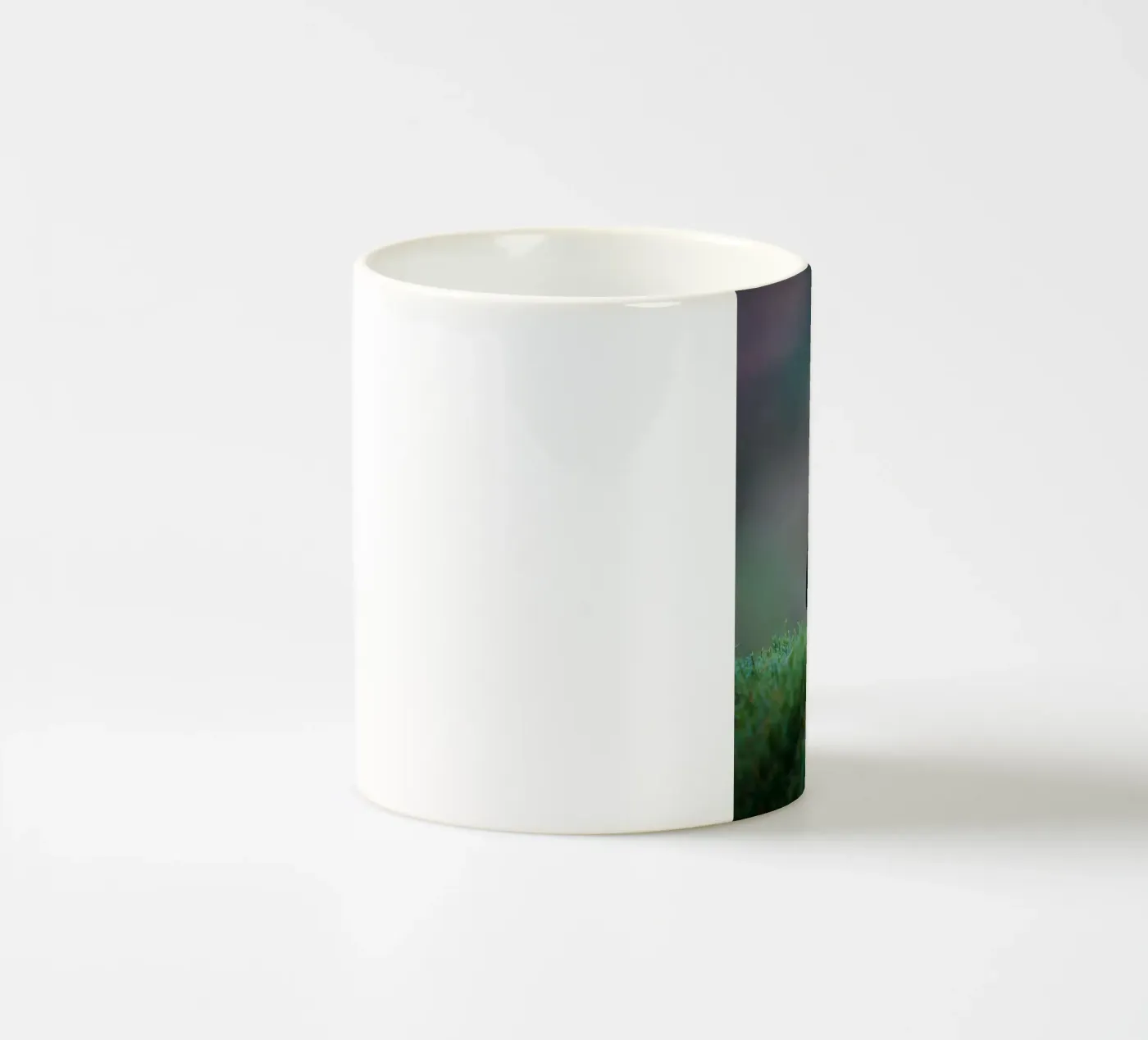 Blackbird ceramic mug by Tom's Wildlife