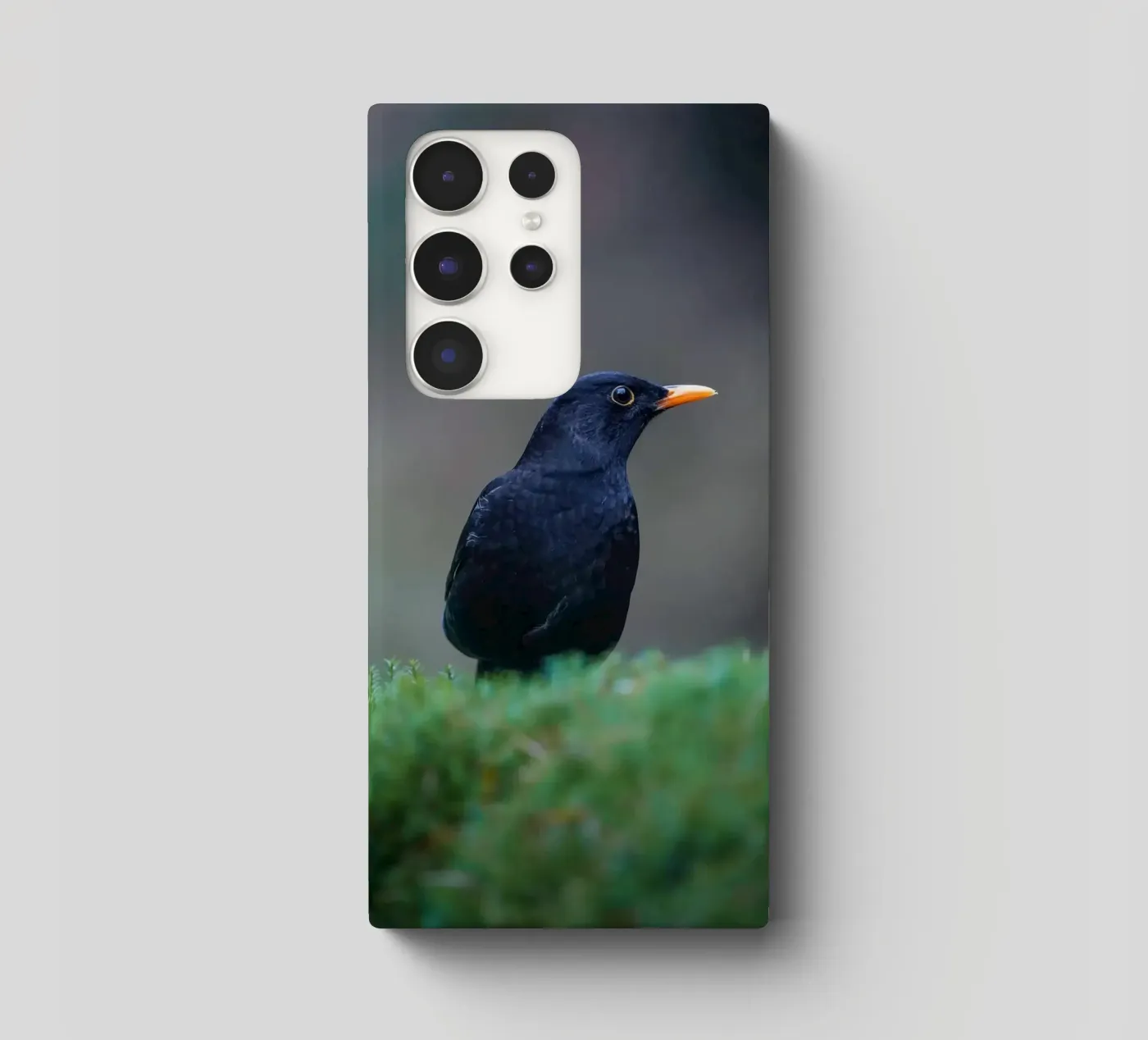 Merlo cover samsung da Tom's Wildlife