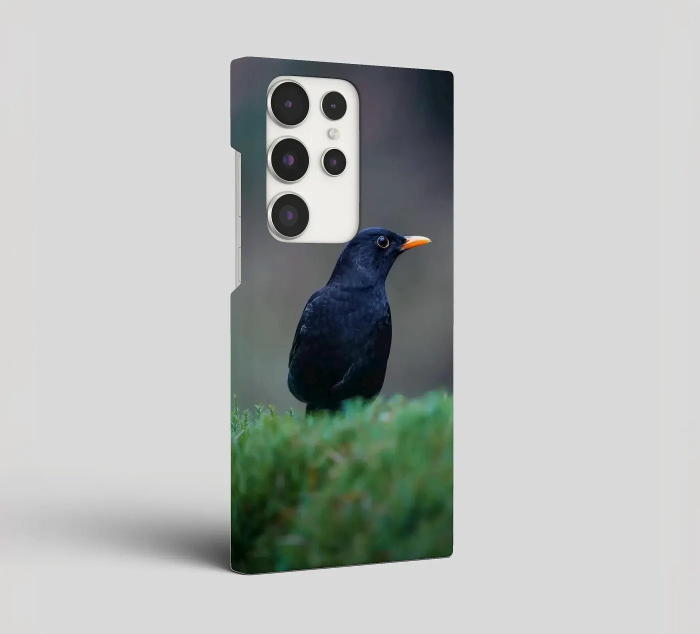 Merlo cover samsung da Tom's Wildlife