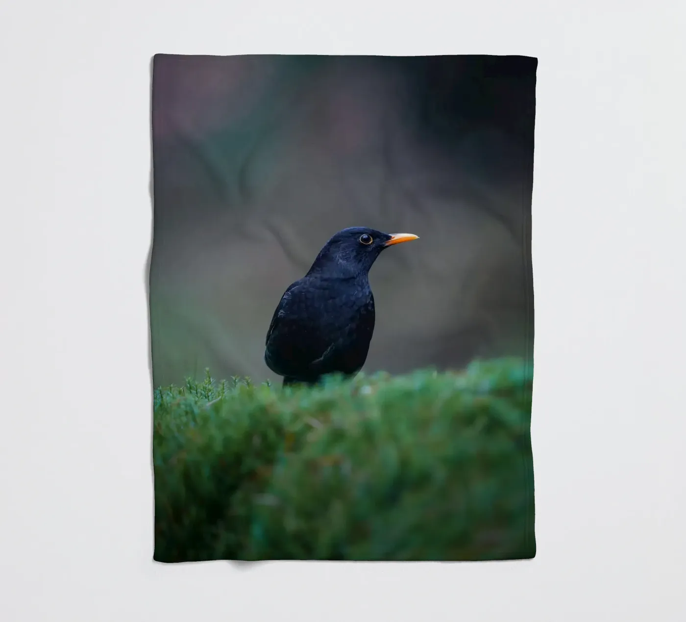 Blackbird fleecedeken van Tom's Wildlife