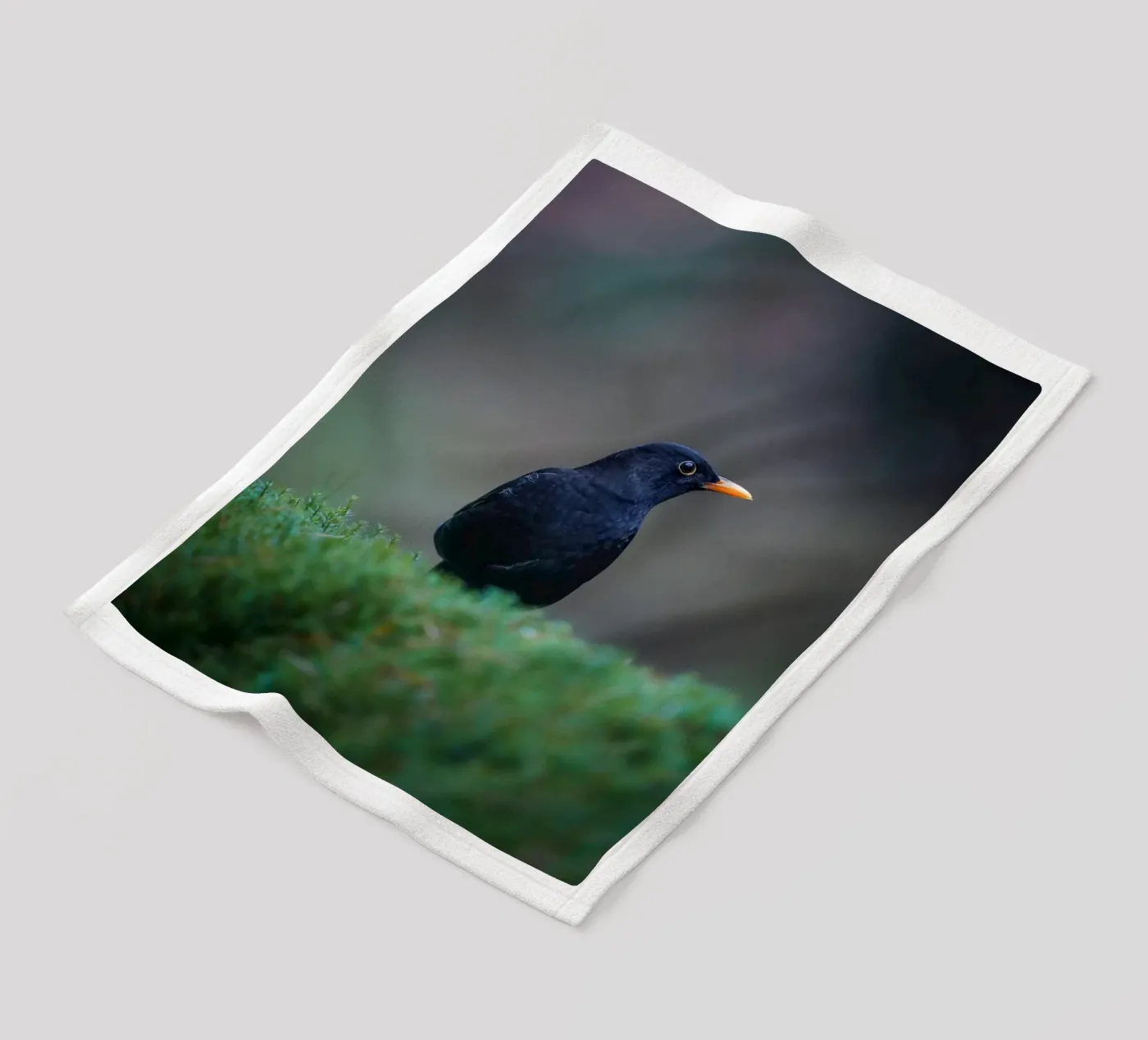 Blackbird fleecedeken van Tom's Wildlife