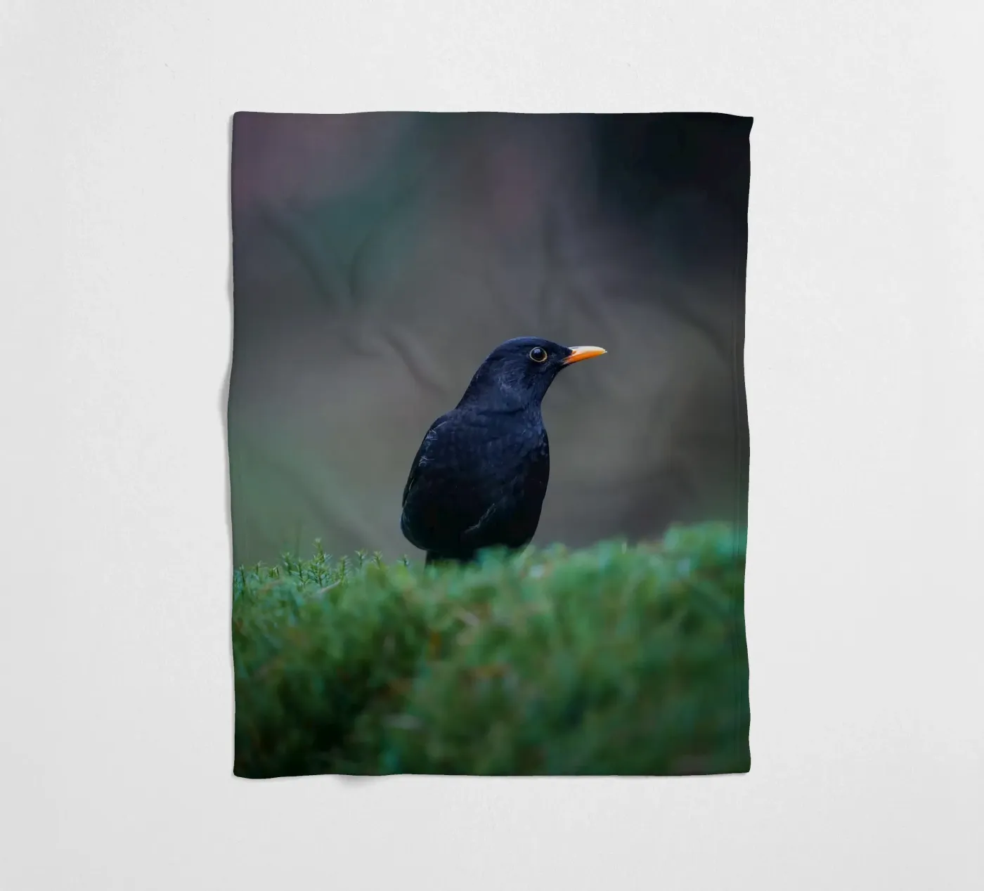 Blackbird fleecedeken van Tom's Wildlife