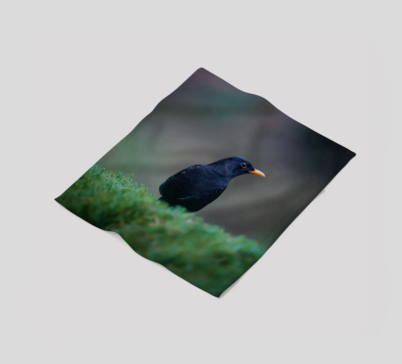 Blackbird fleecedeken van Tom's Wildlife