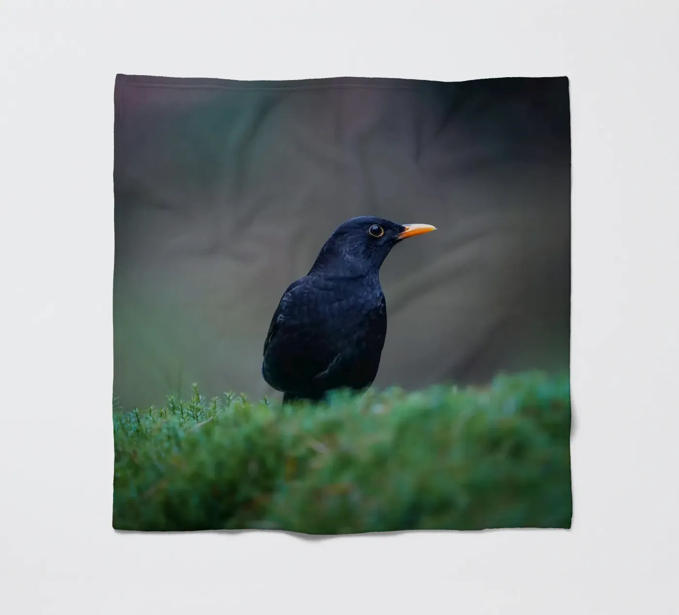 Blackbird fleecedeken van Tom's Wildlife
