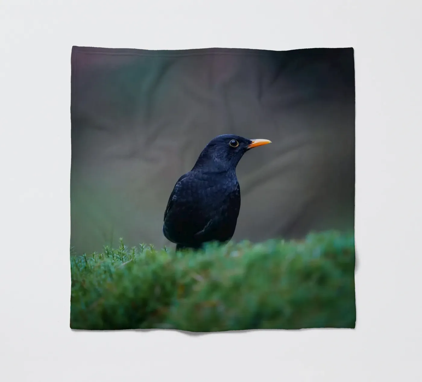 Blackbird Fleecedecke von Tom's Wildlife