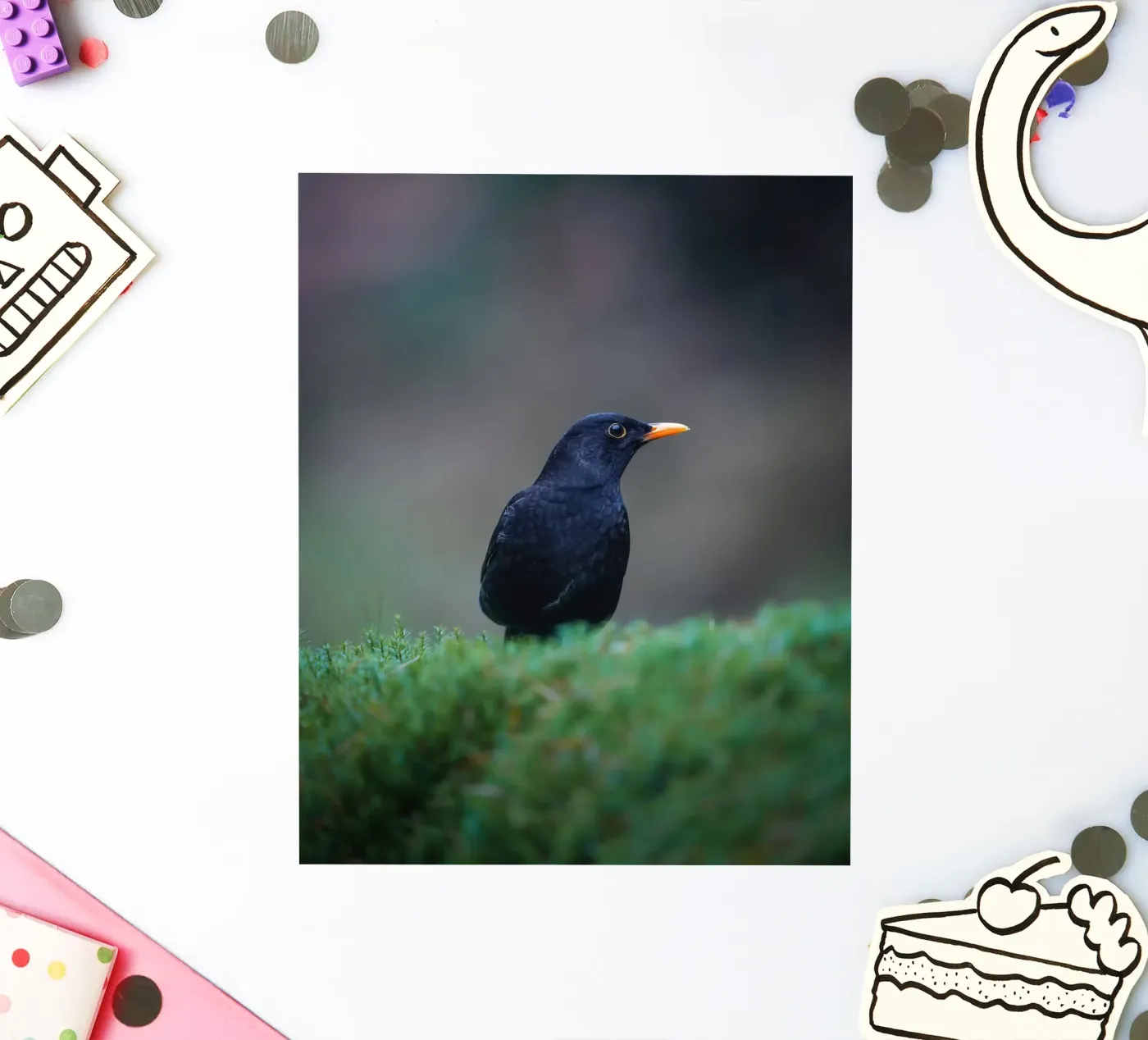 Merel sticker van Tom's Wildlife