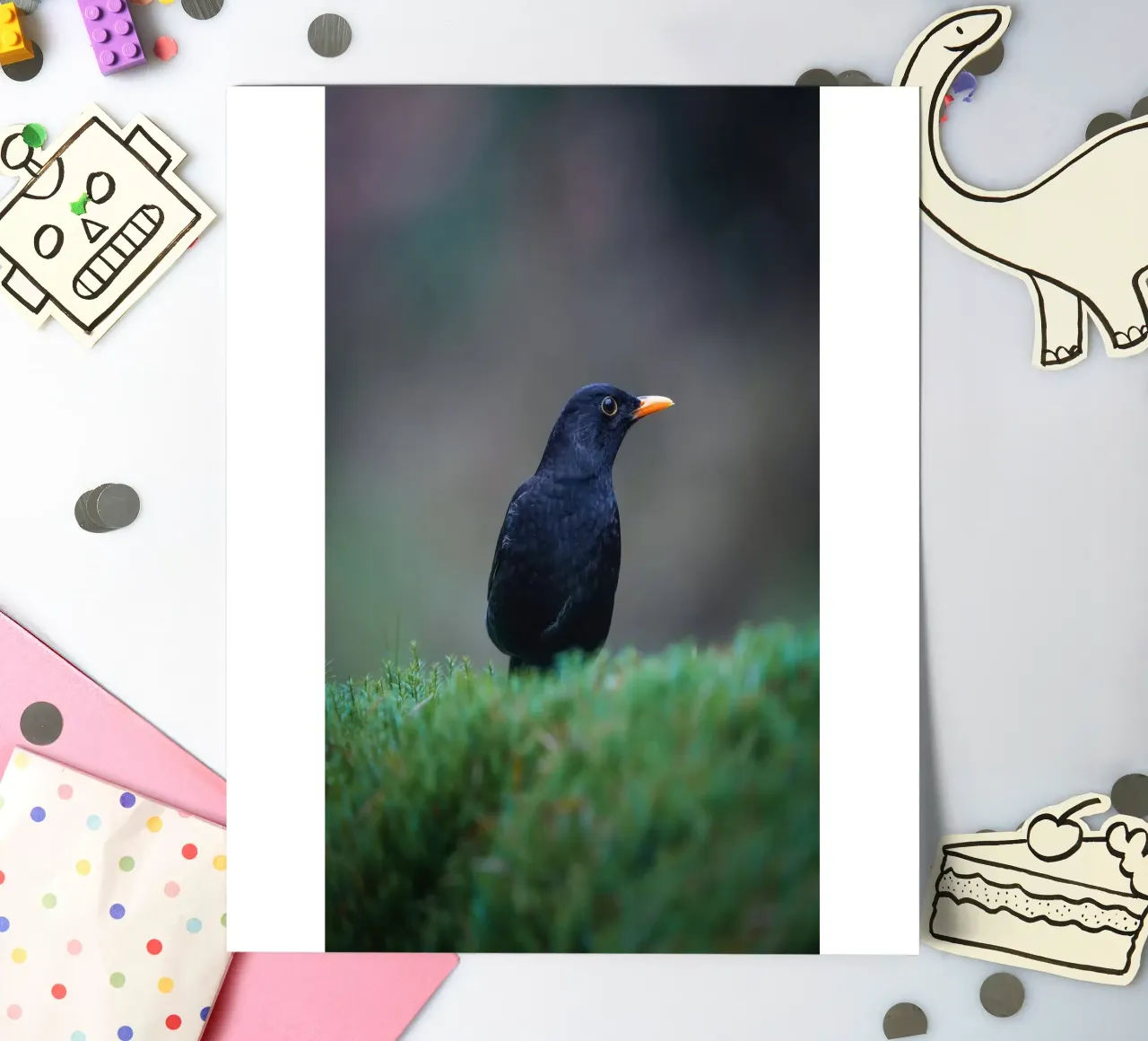 Merel stickervel van Tom's Wildlife