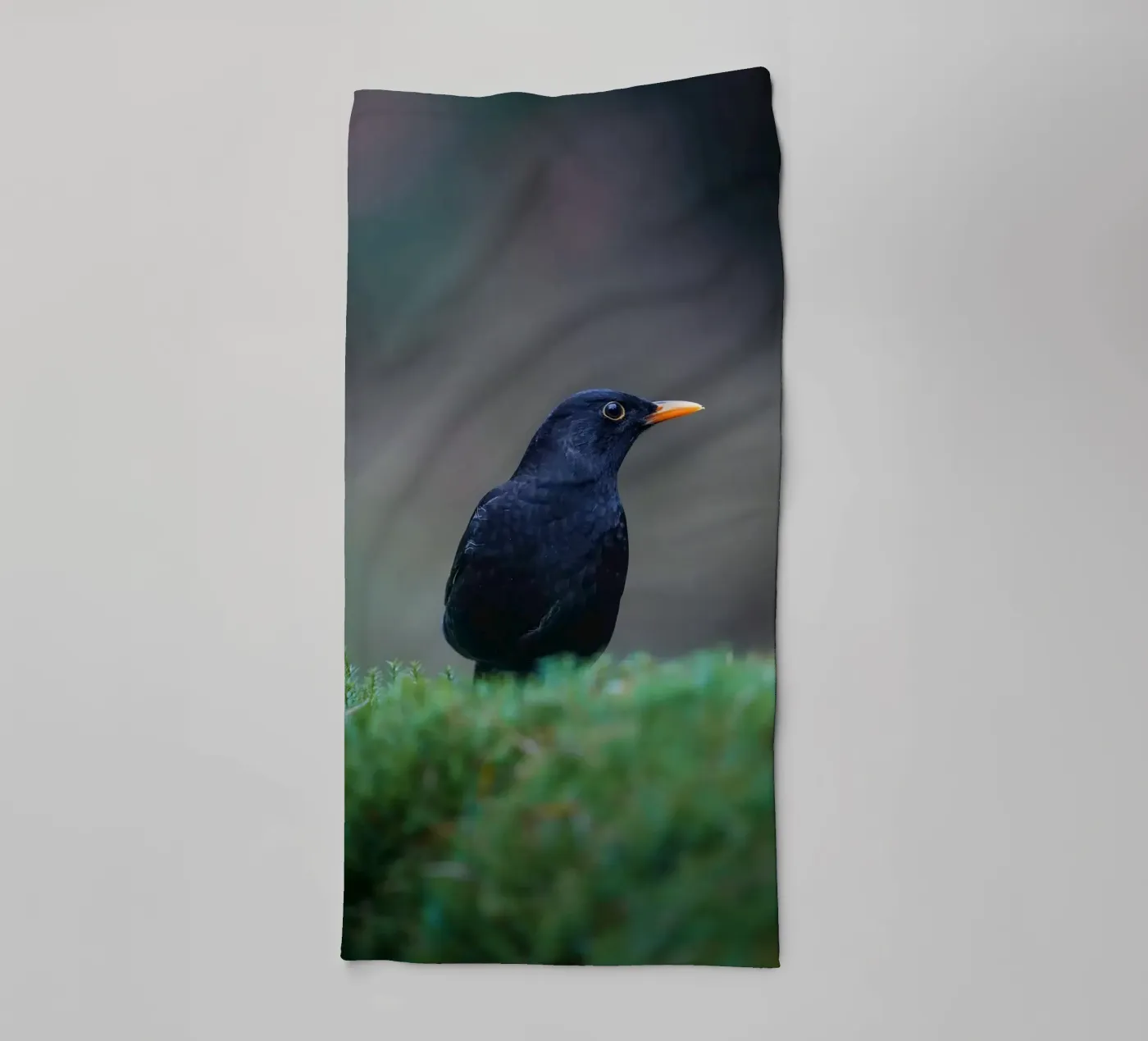Blackbird badhanddoek van Tom's Wildlife