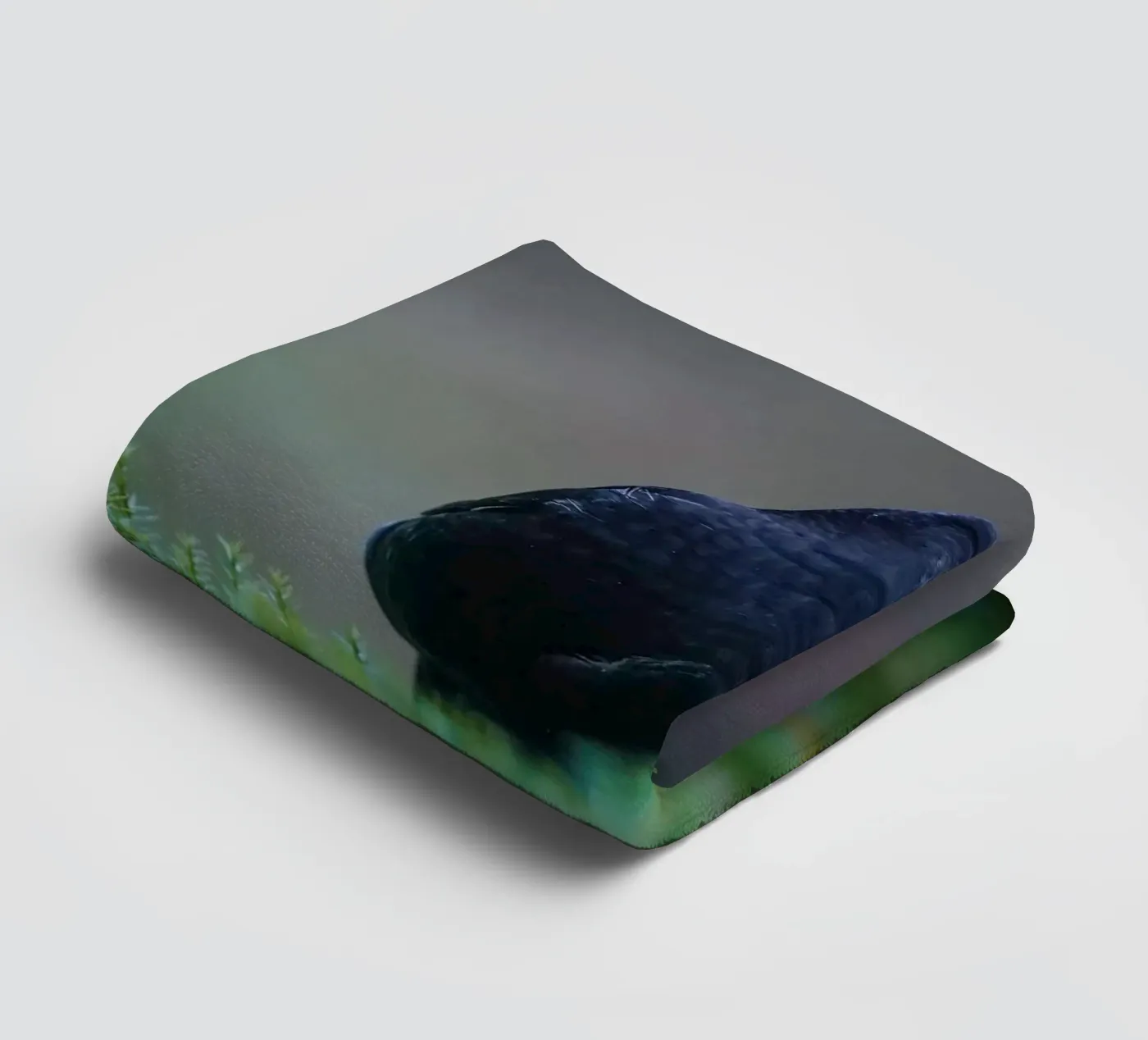 Blackbird towel by Tom's Wildlife