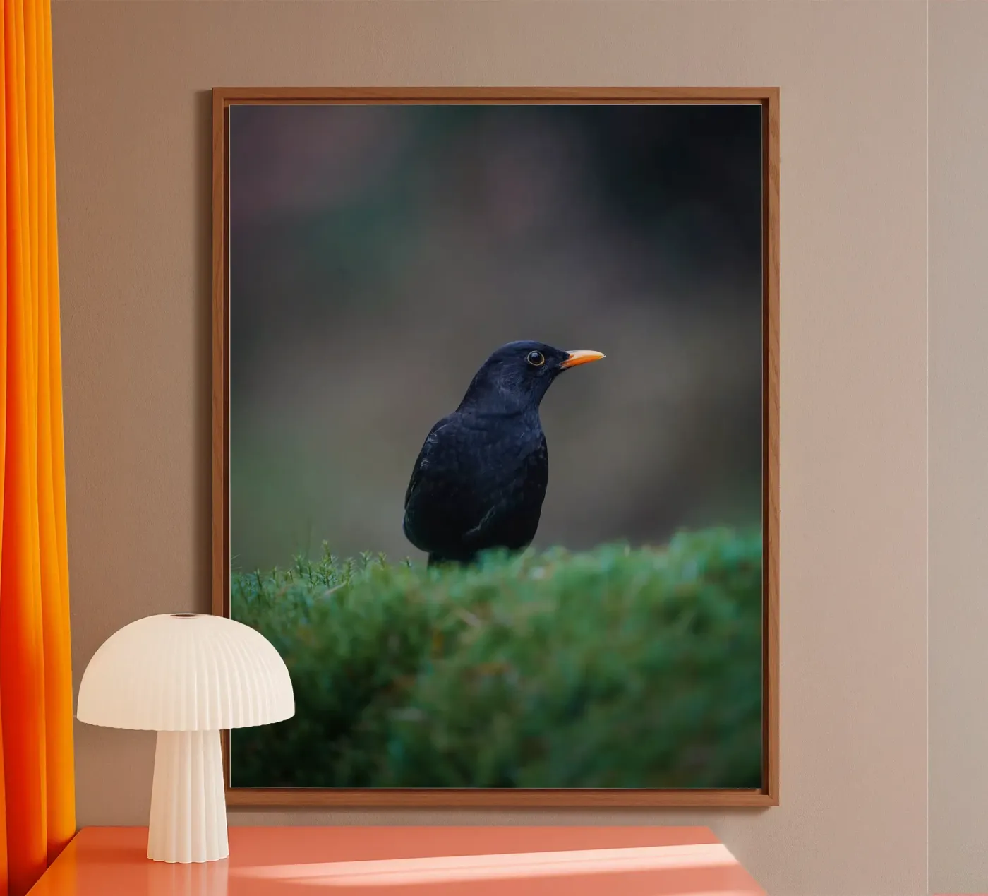 Blackbird forex plate by Tom's Wildlife