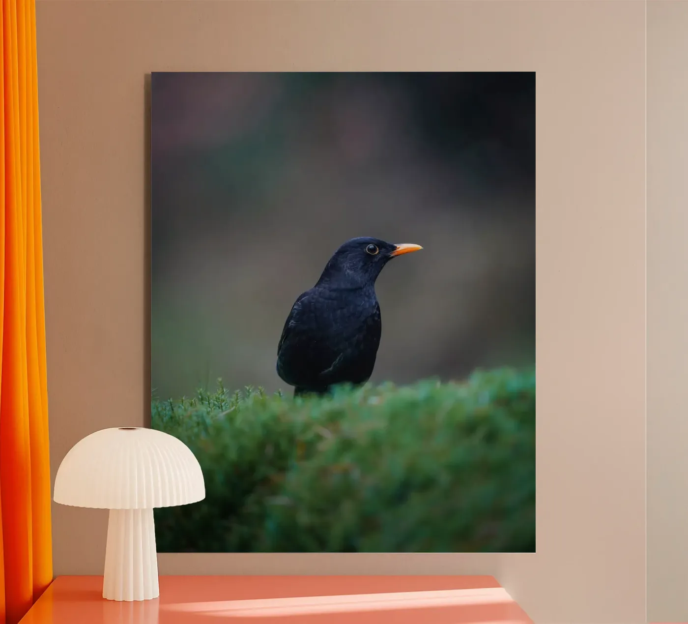Blackbird forex plate by Tom's Wildlife