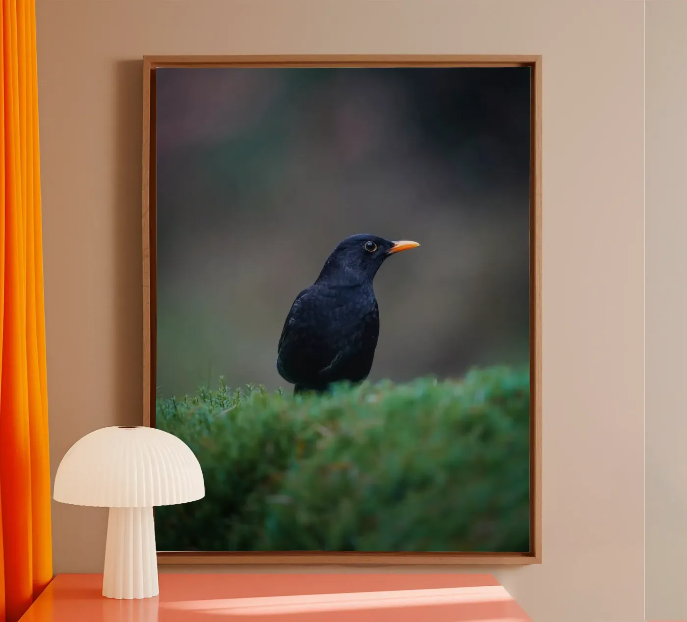 Merel canvas van Tom's Wildlife