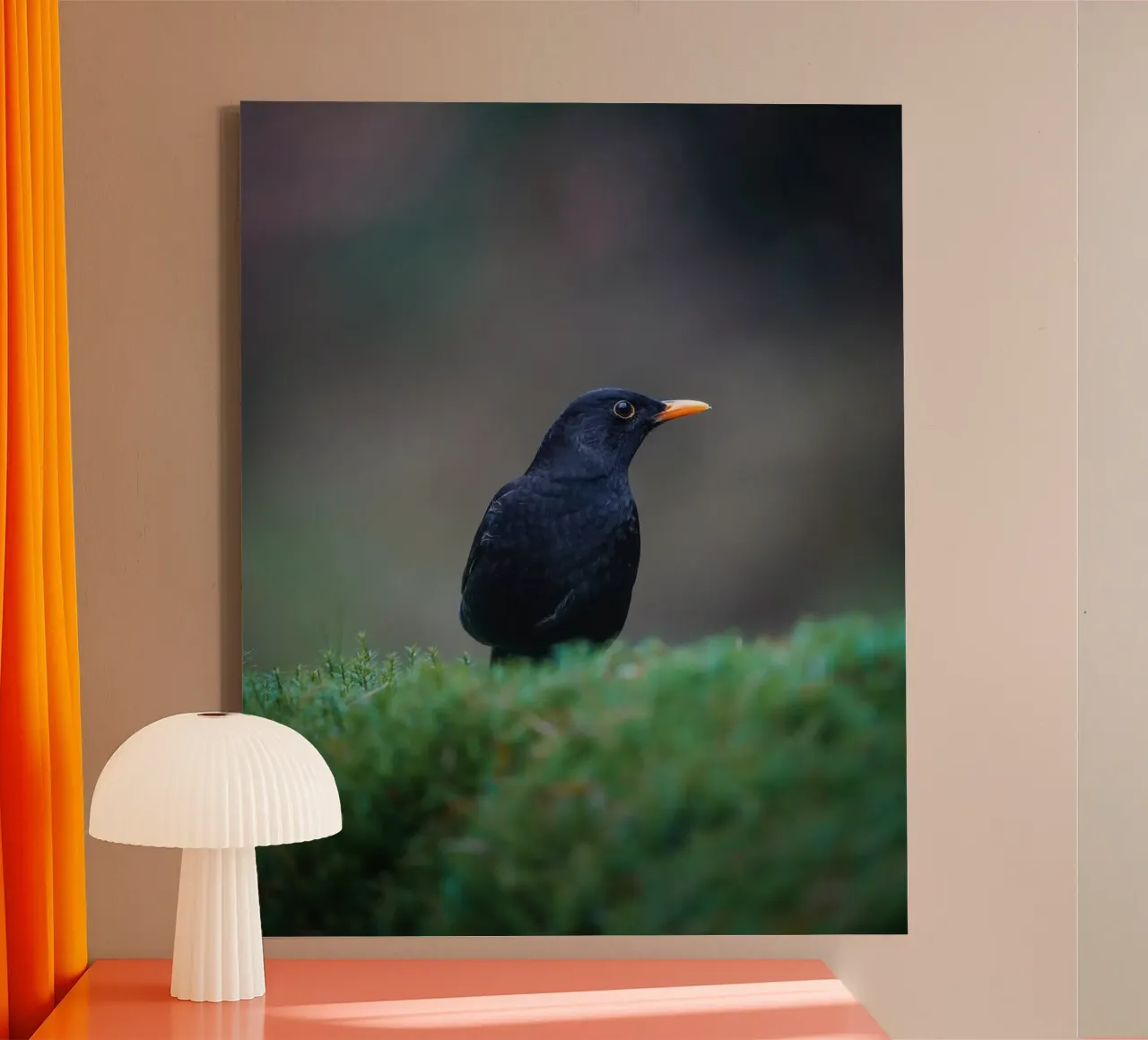 Merel canvas van Tom's Wildlife
