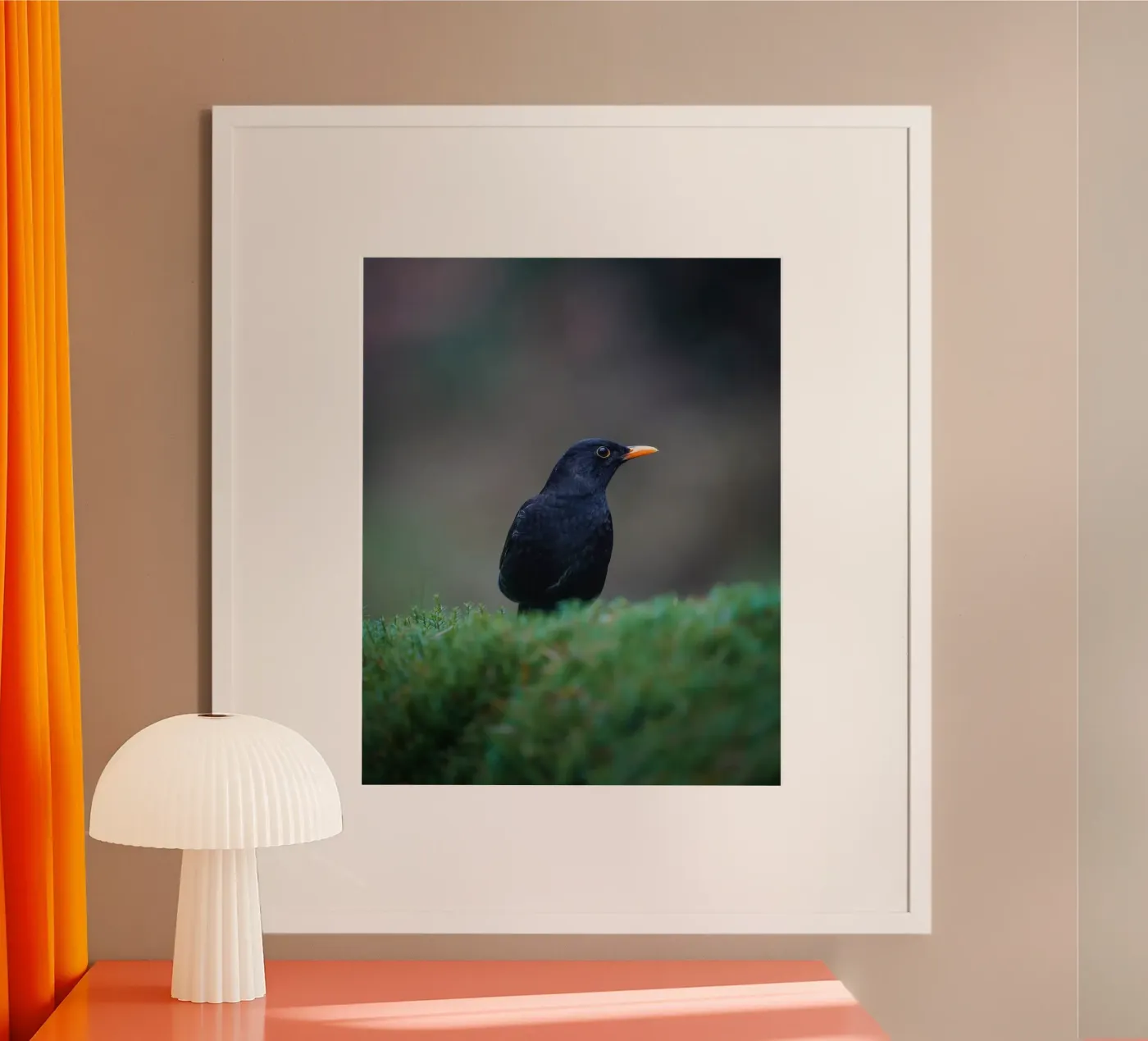 Merel poster van Tom's Wildlife