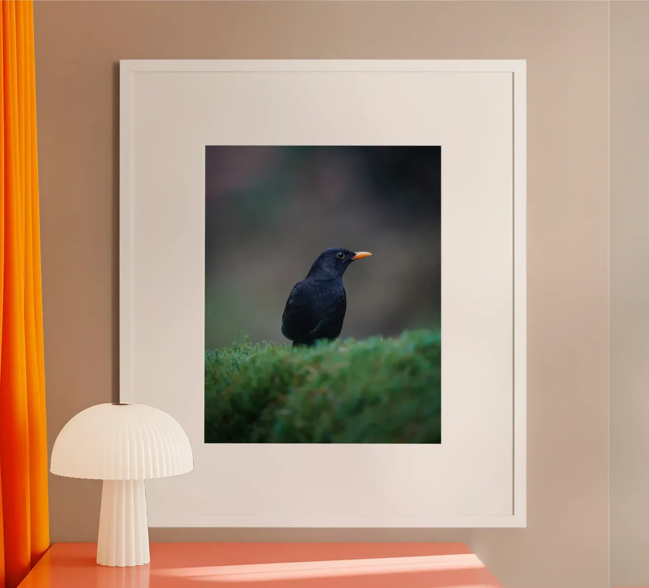 Merel poster van Tom's Wildlife