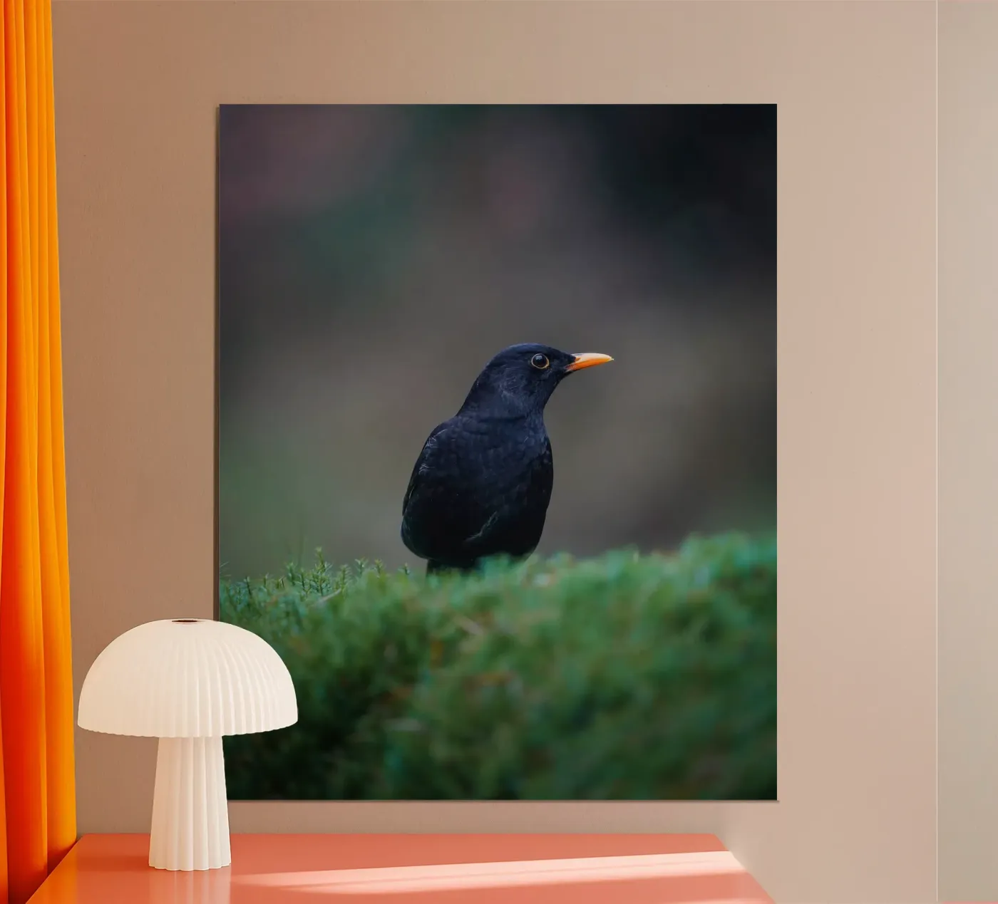 Merel poster van Tom's Wildlife