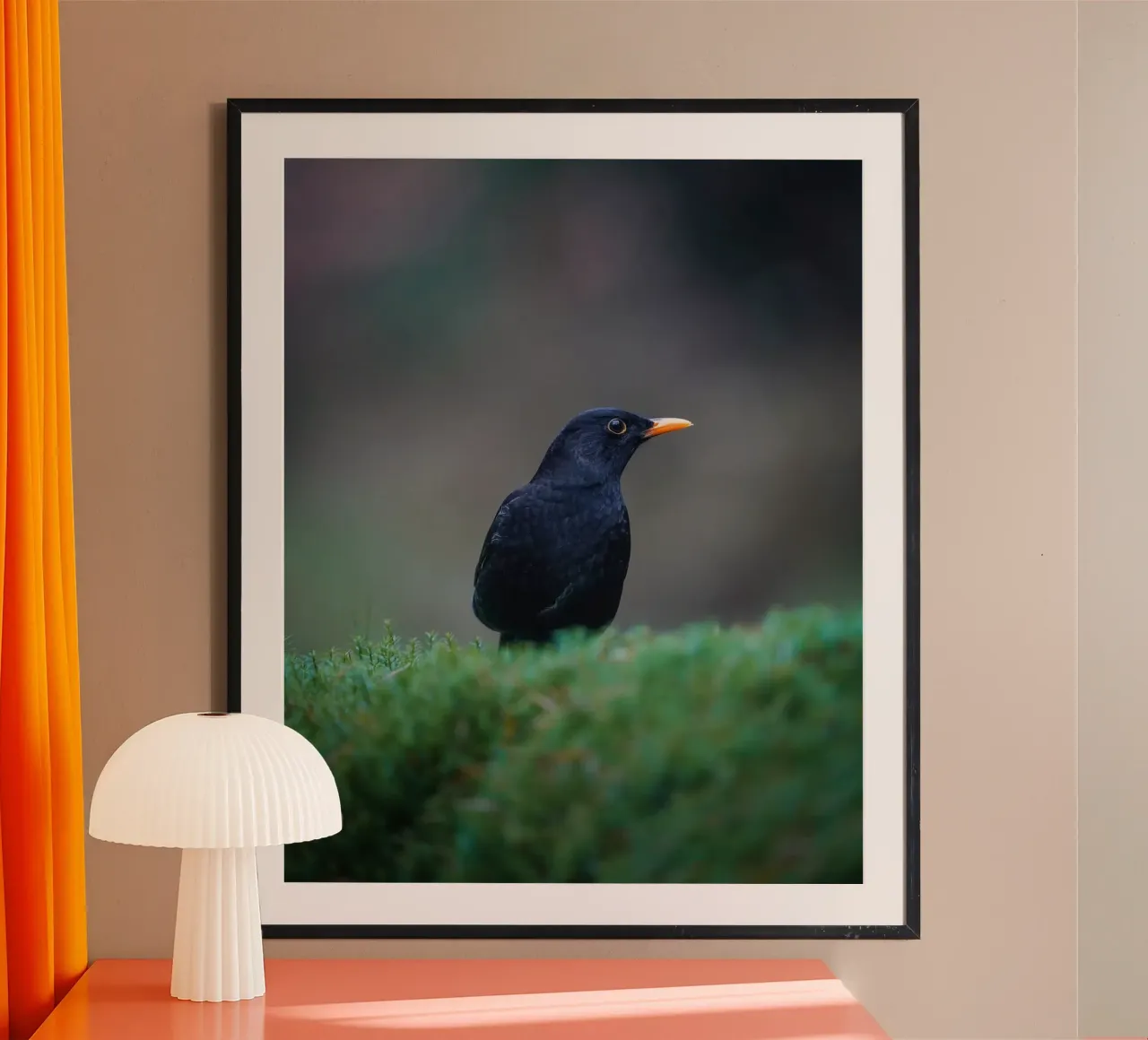 Merel poster van Tom's Wildlife