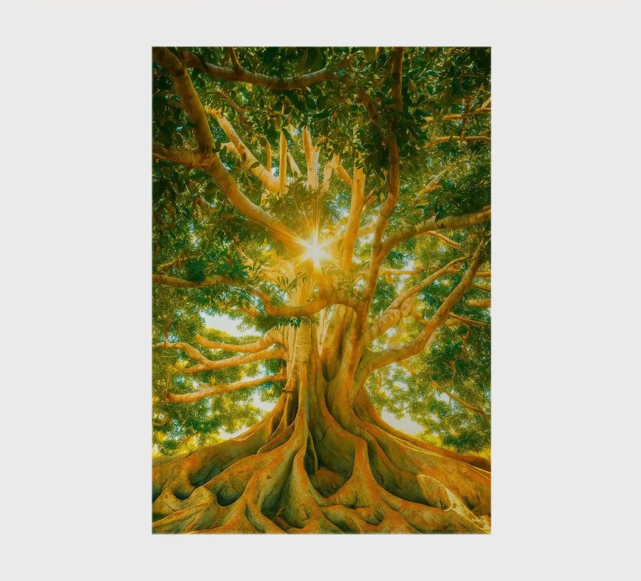 tree branch retro photography notebook by lottuz