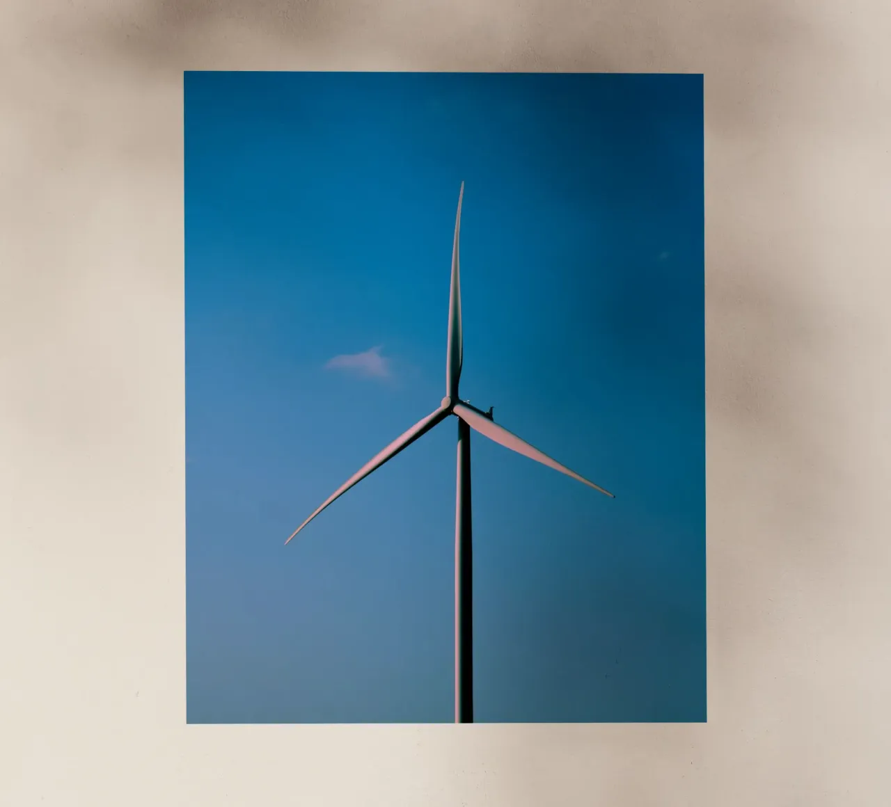 giant windmill pellicola backlit da feny
