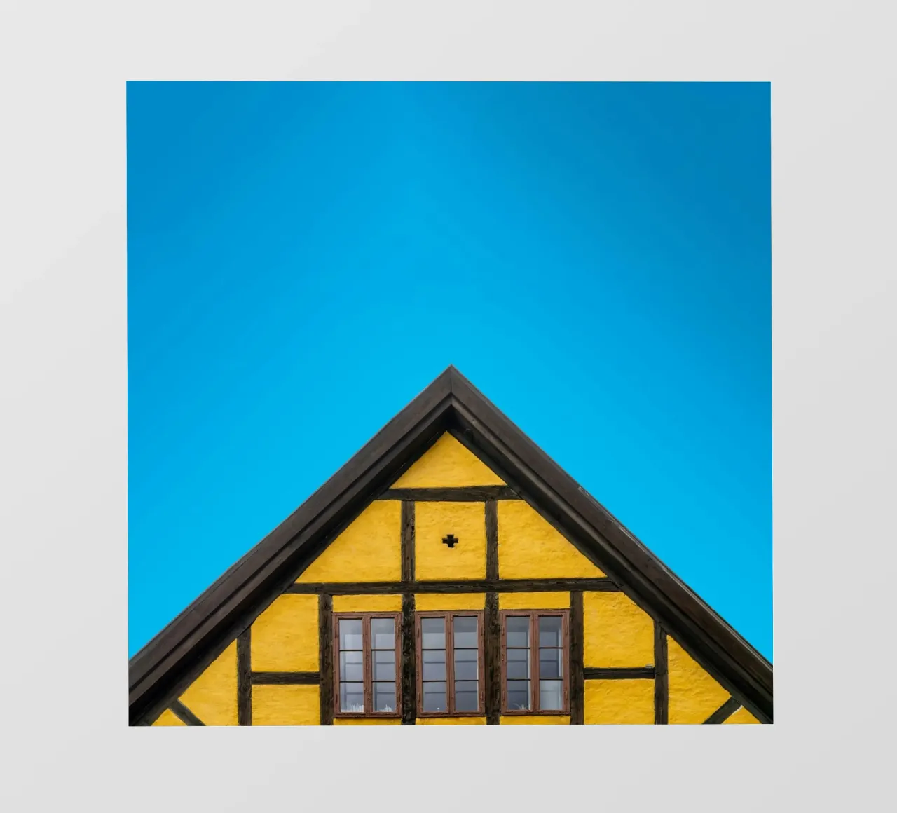 triangle chop house telo in pvc da feny