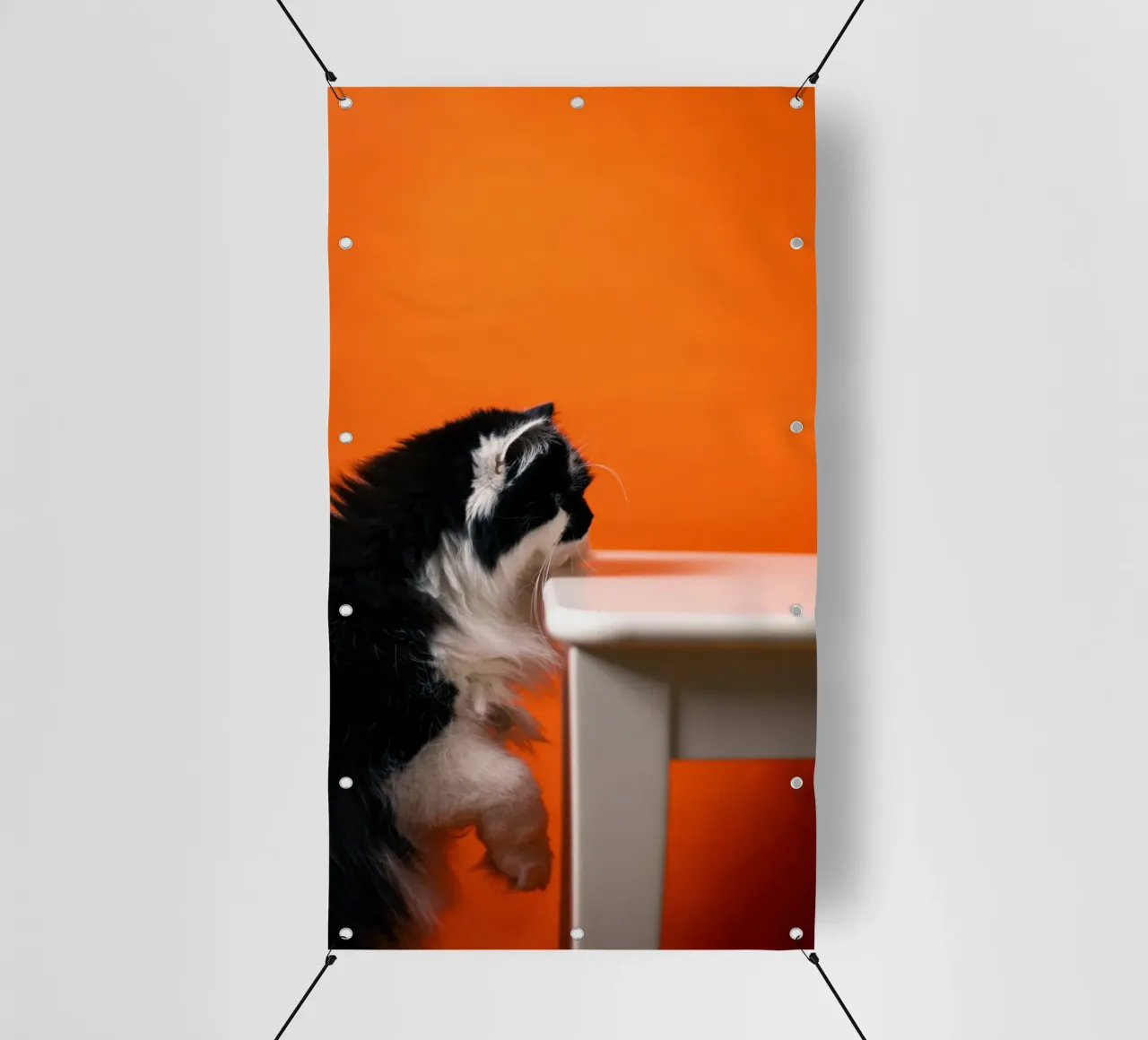cat table in orange shade telo in pvc da feny