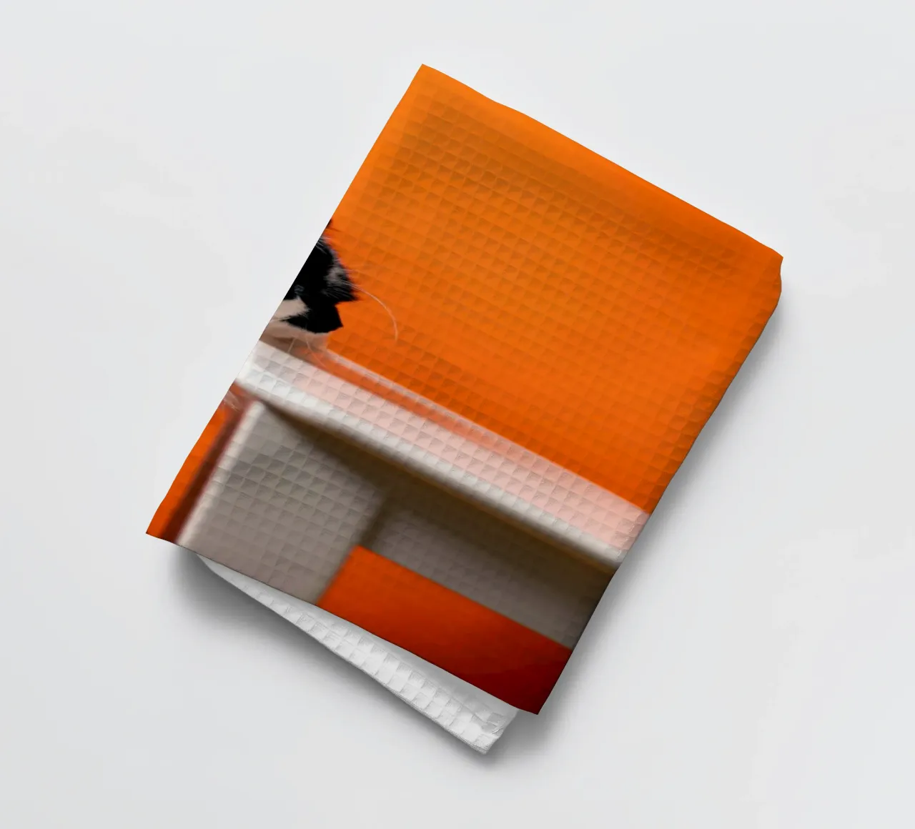 cat table in orange shade canovaccio da cucina da feny