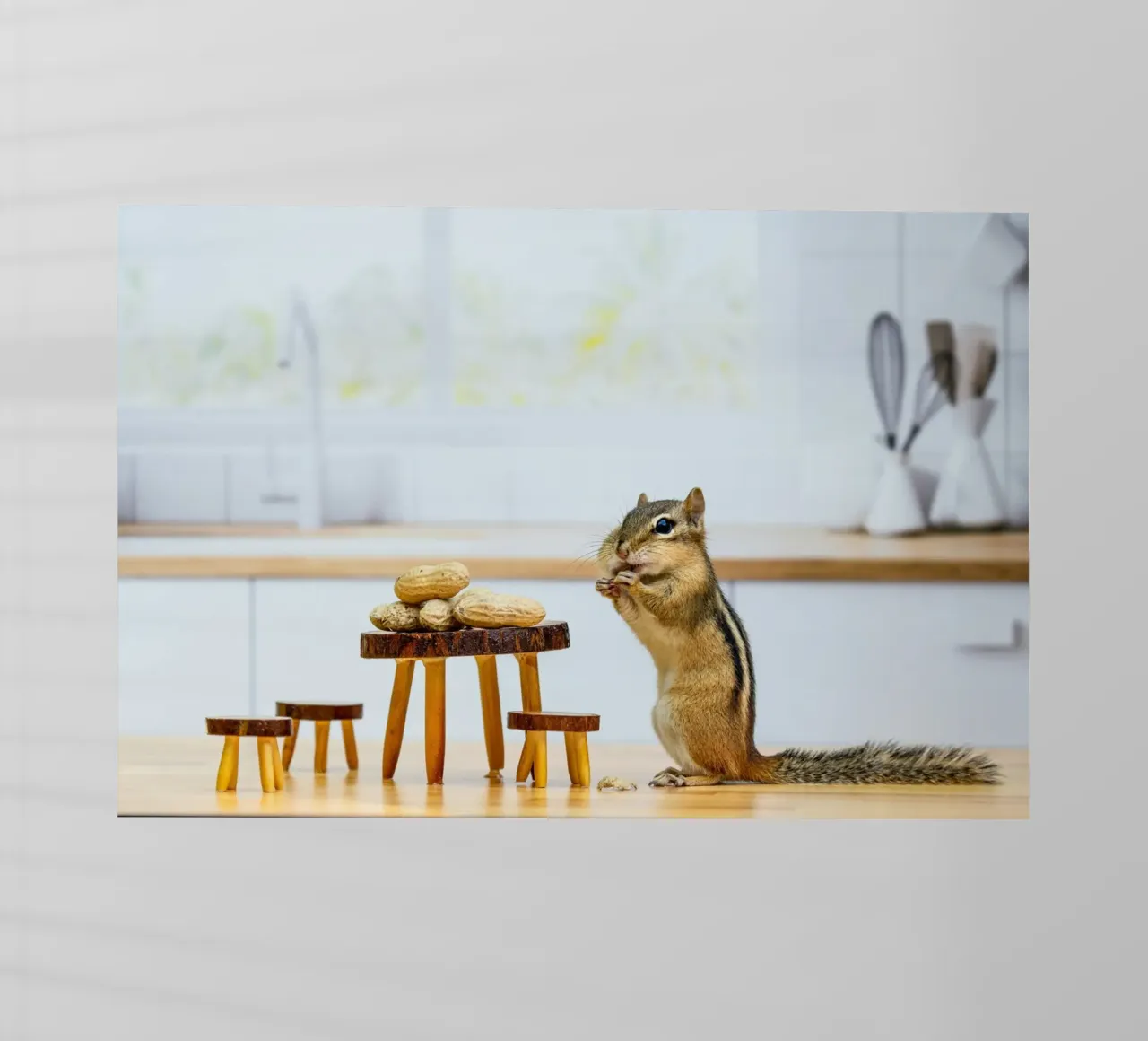 squirrel vs peanut pellicola backlit da feny