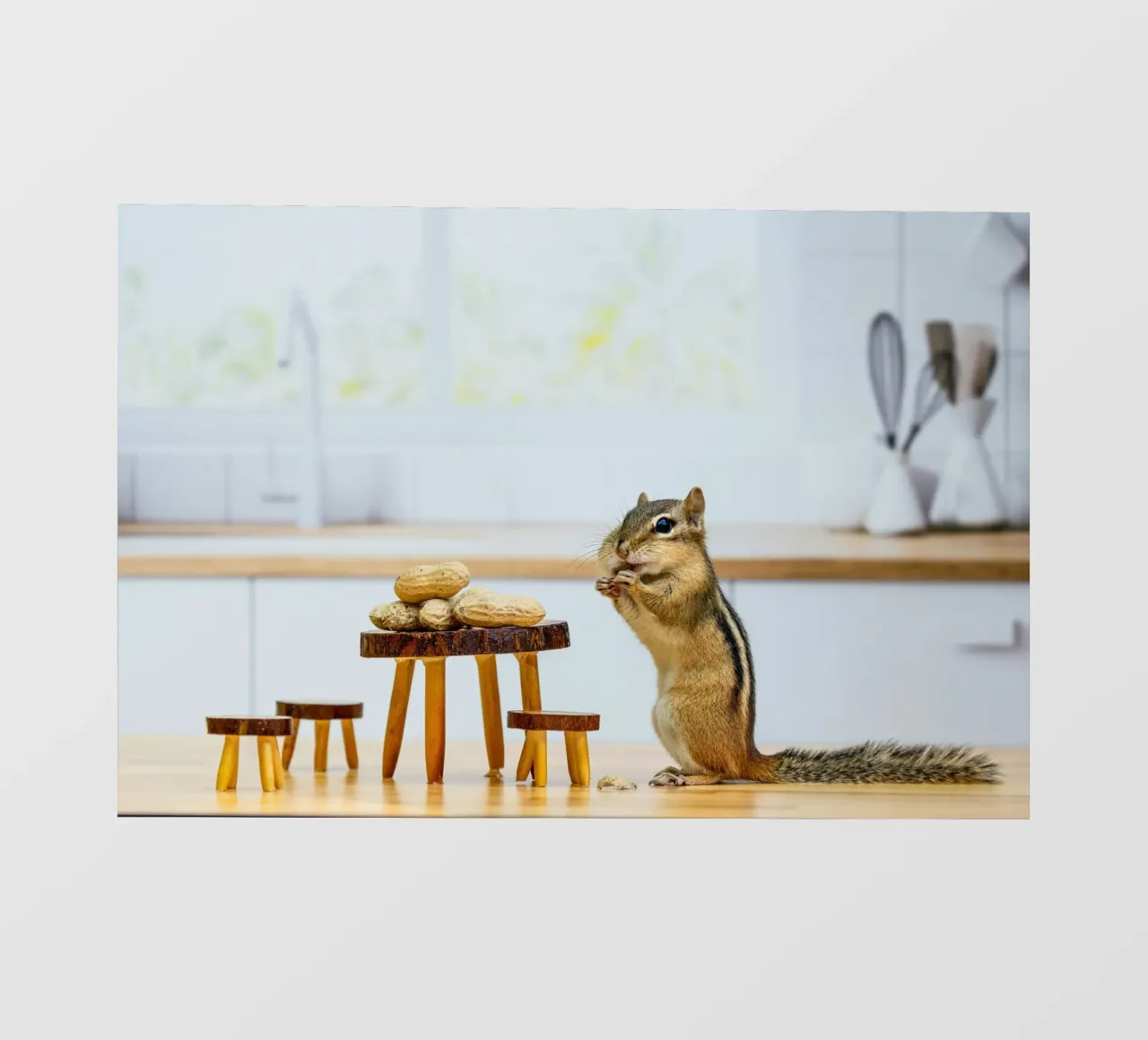 squirrel vs peanut telo in pvc da feny