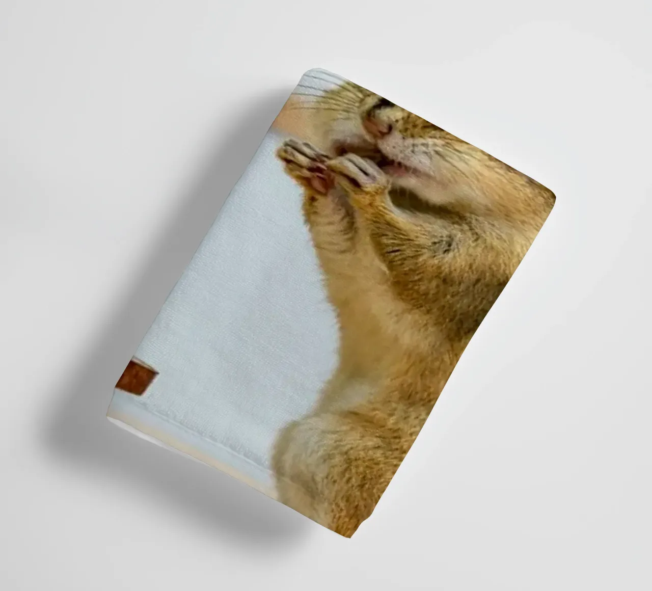 squirrel vs peanut asciugamano da bagno da feny