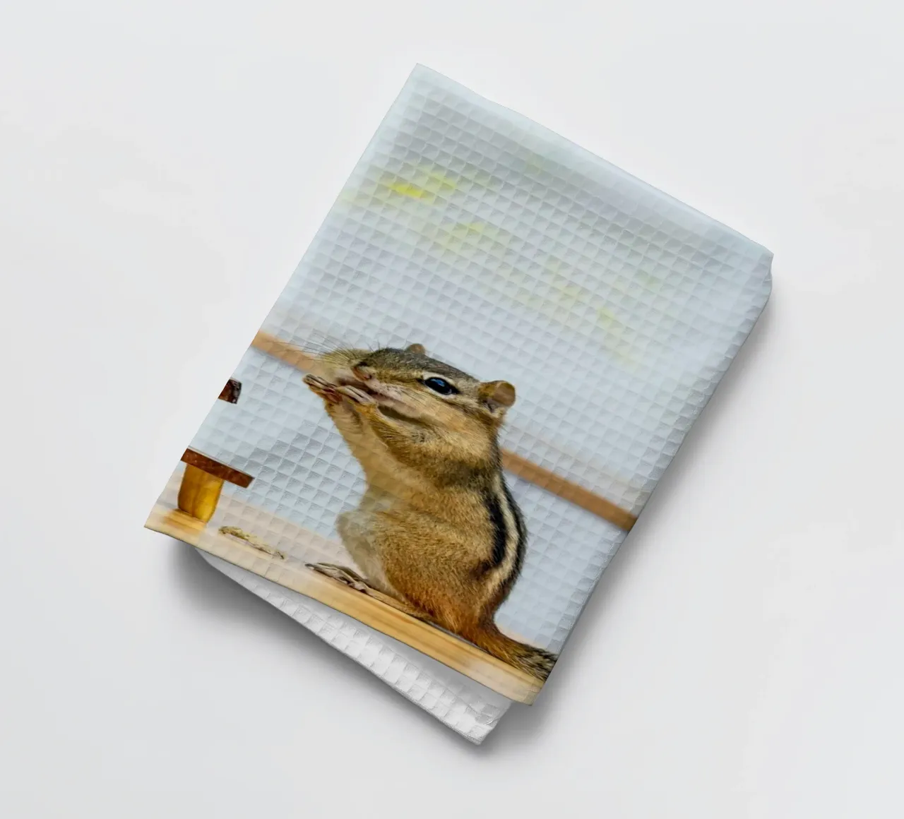 squirrel vs peanut canovaccio da cucina da feny