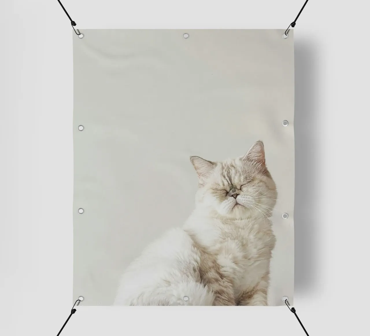 cat chill in shade telo in pvc da feny