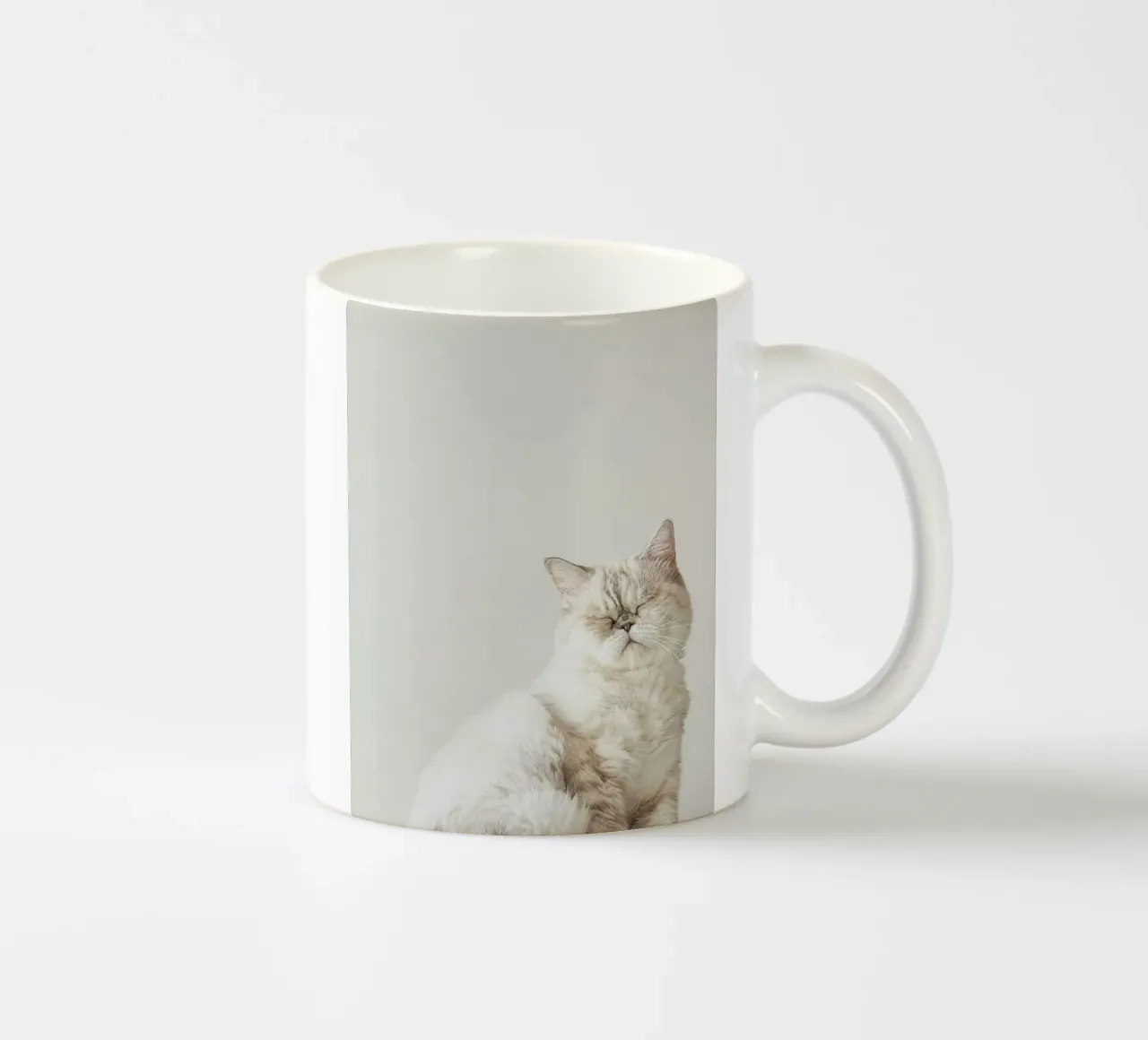 cat chill in shade tazza in ceramica da feny