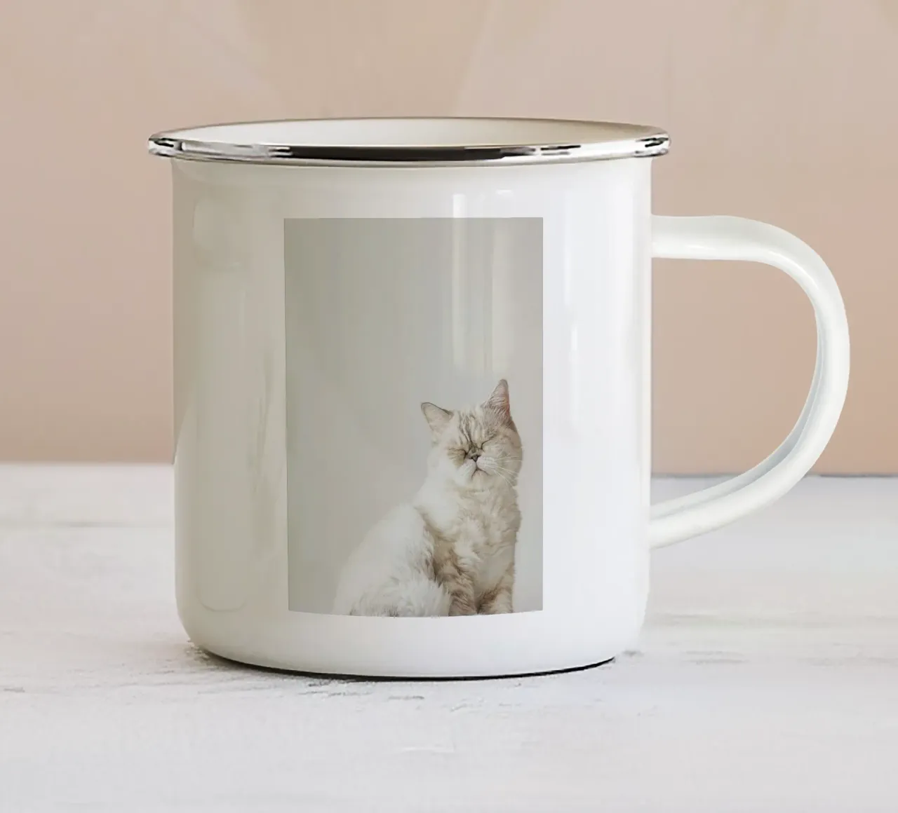 cat chill in shade tazza in smalto da feny