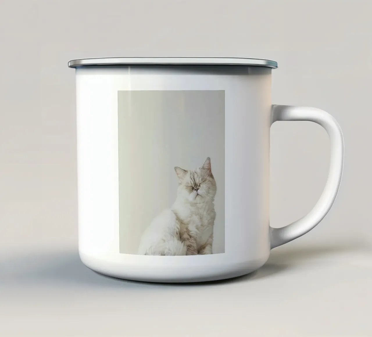 cat chill in shade tazza in smalto da feny